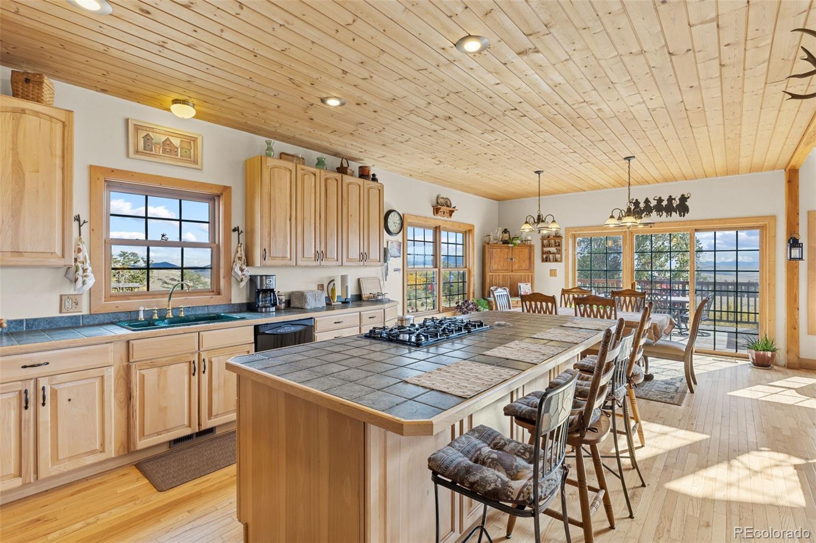 MLS Image #12 for 76  no place road,hartsel, Colorado