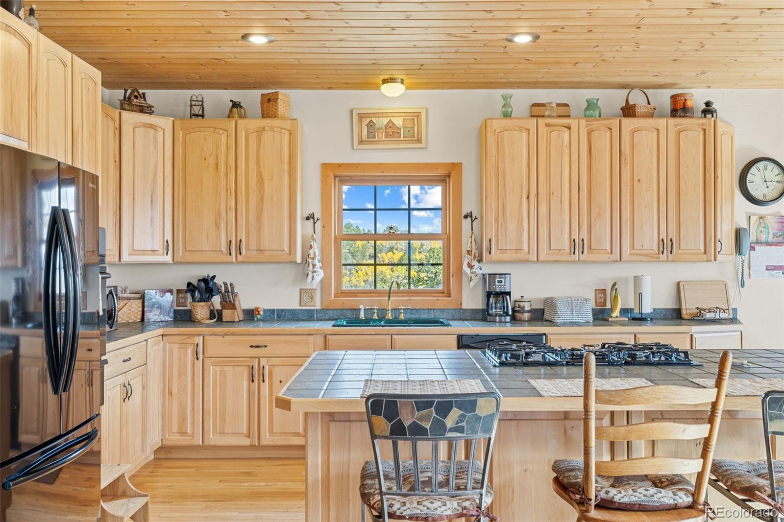 MLS Image #13 for 76  no place road,hartsel, Colorado