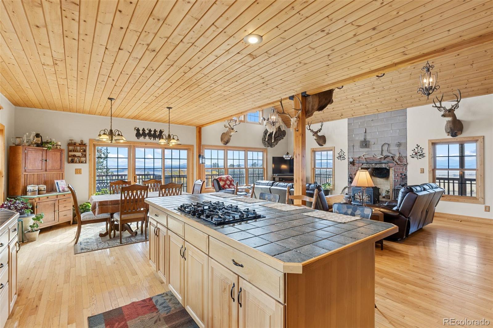 MLS Image #15 for 76  no place road,hartsel, Colorado