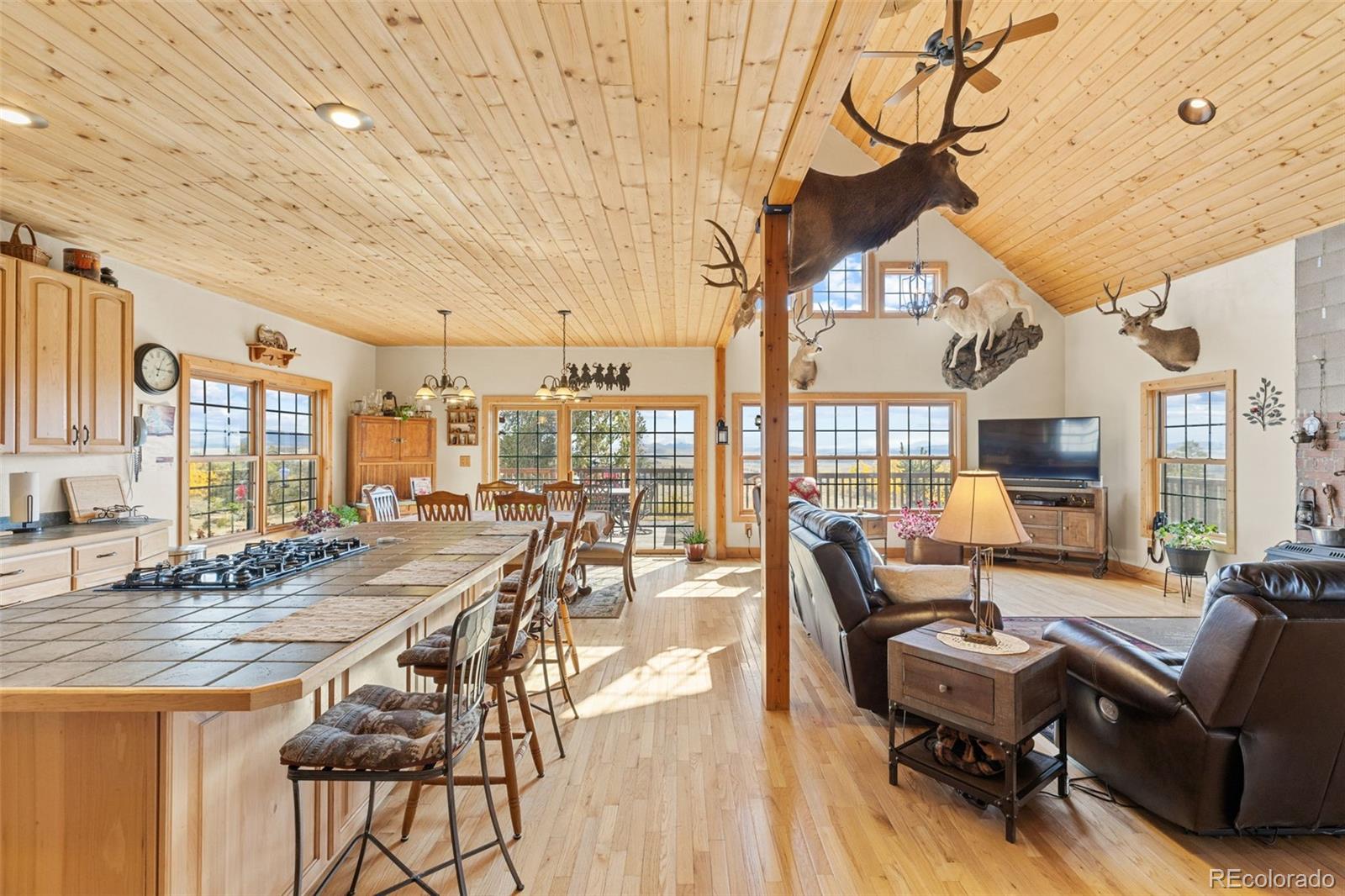MLS Image #3 for 76  no place road,hartsel, Colorado