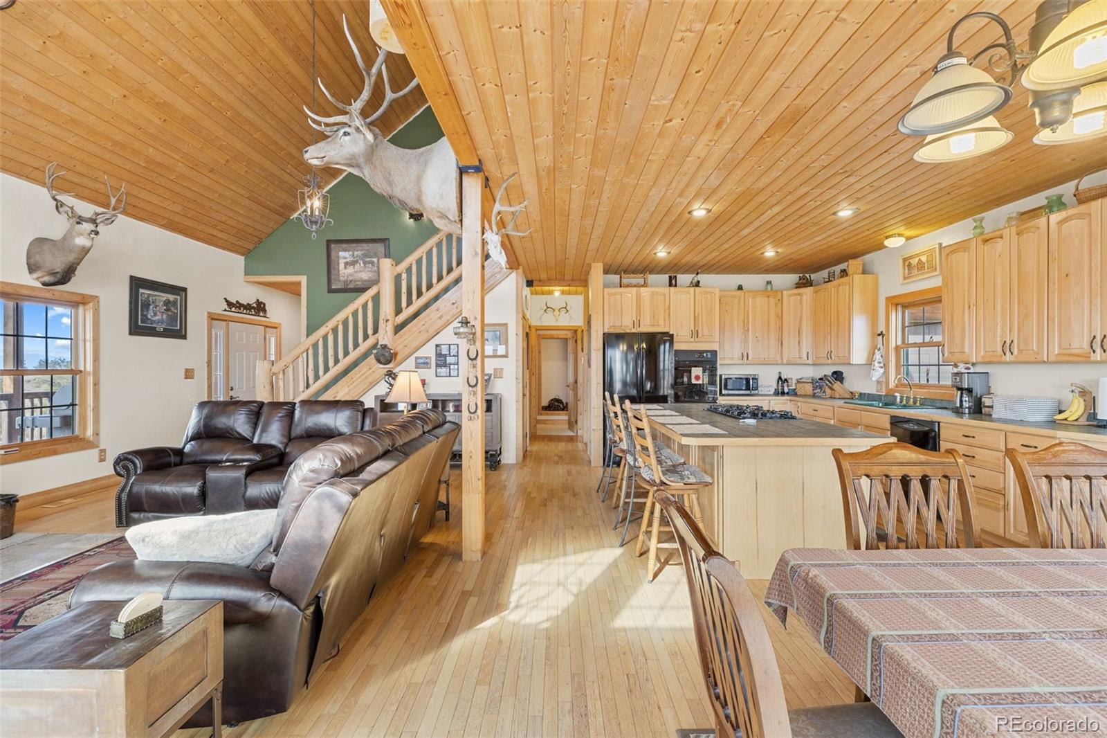 MLS Image #4 for 76  no place road,hartsel, Colorado