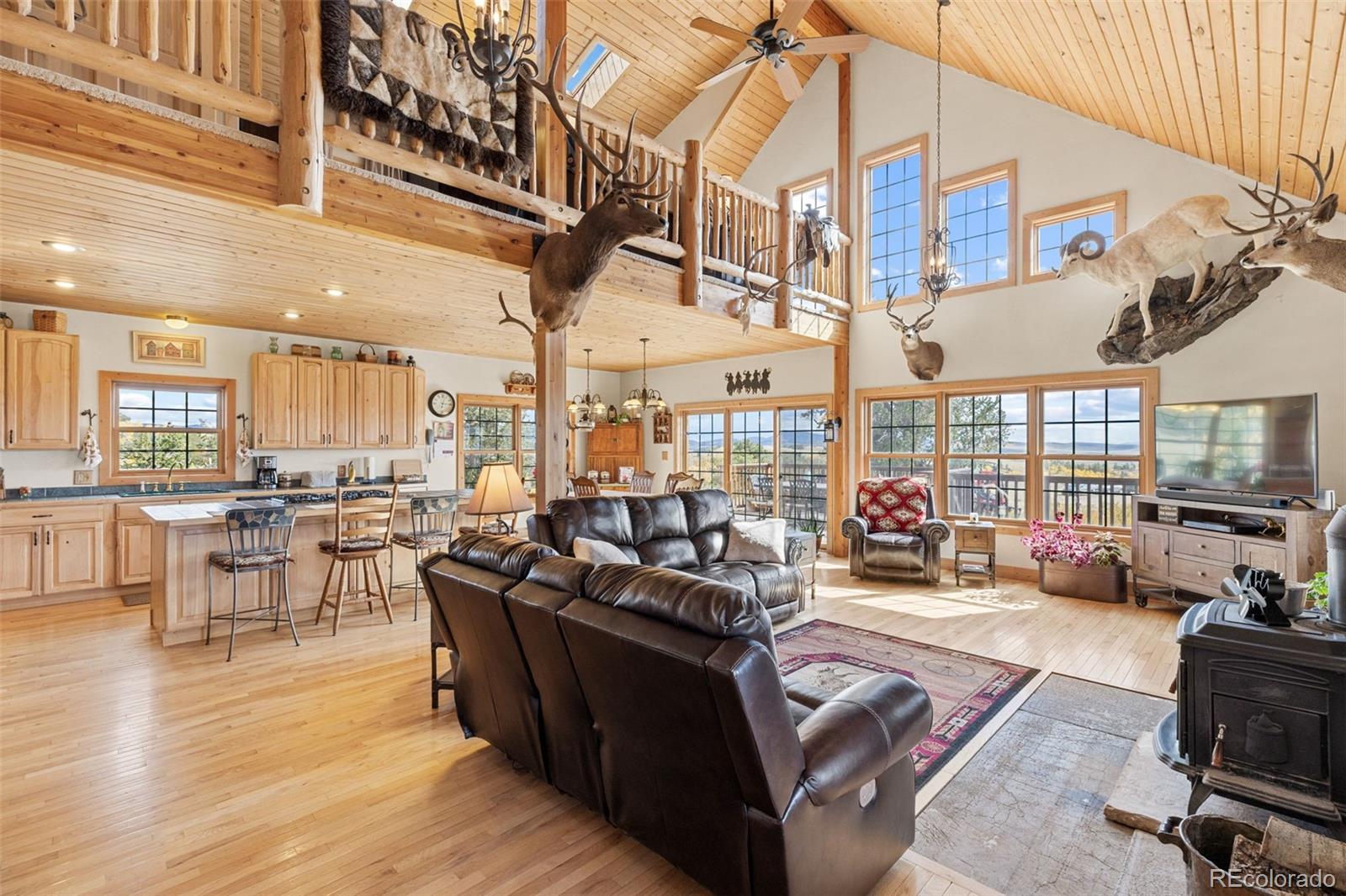 MLS Image #5 for 76  no place road,hartsel, Colorado
