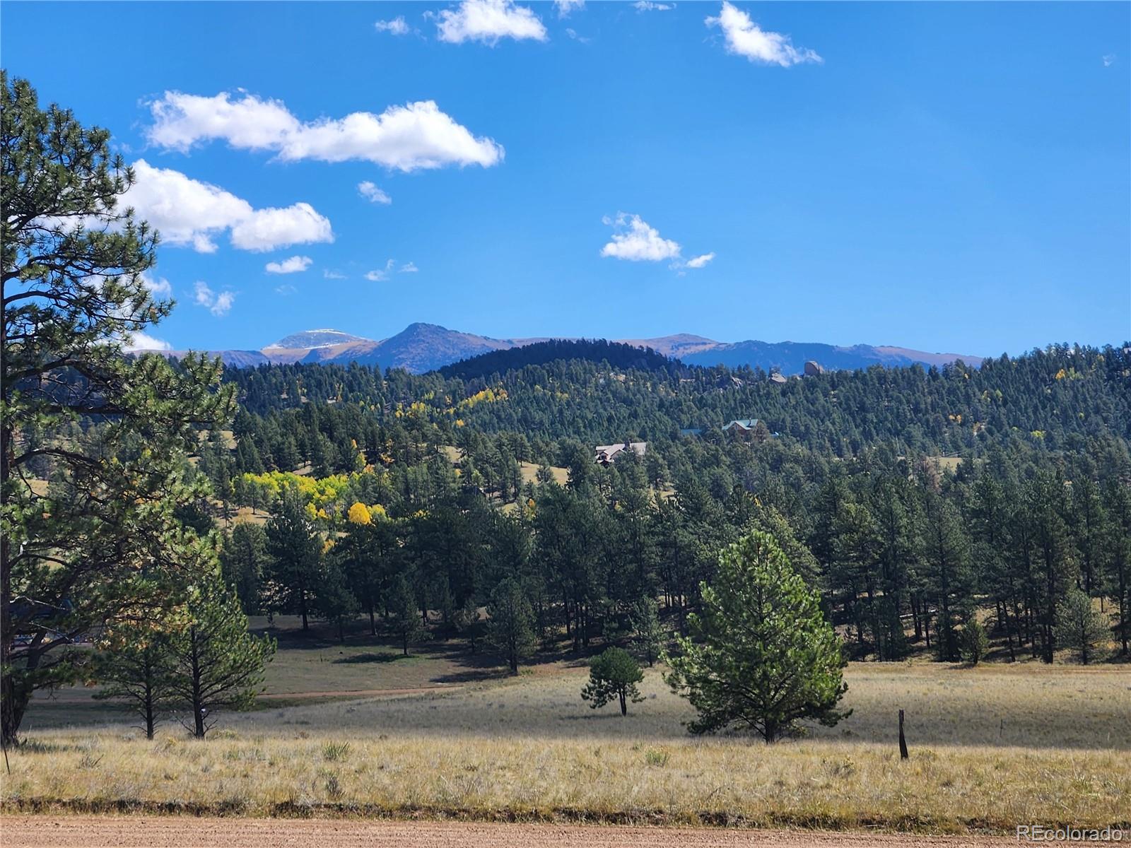 MLS Image #12 for 2628  southpark road,florissant, Colorado