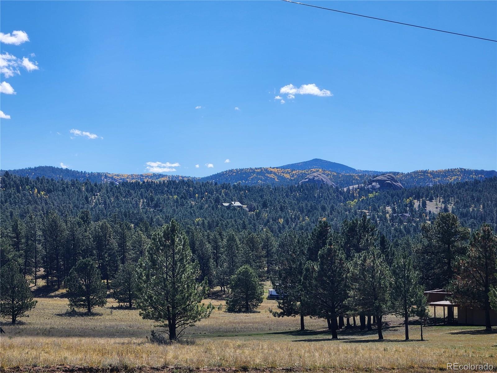 MLS Image #13 for 2628  southpark road,florissant, Colorado