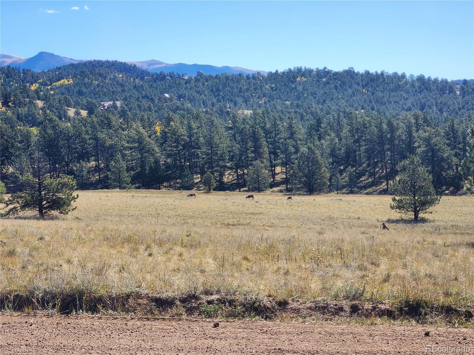 MLS Image #14 for 2628  southpark road,florissant, Colorado