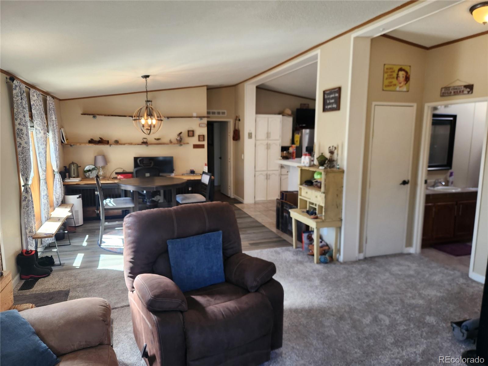 MLS Image #4 for 2628  southpark road,florissant, Colorado