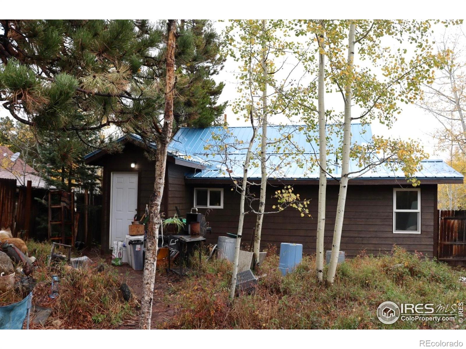 MLS Image #12 for 470 w spring street,nederland, Colorado