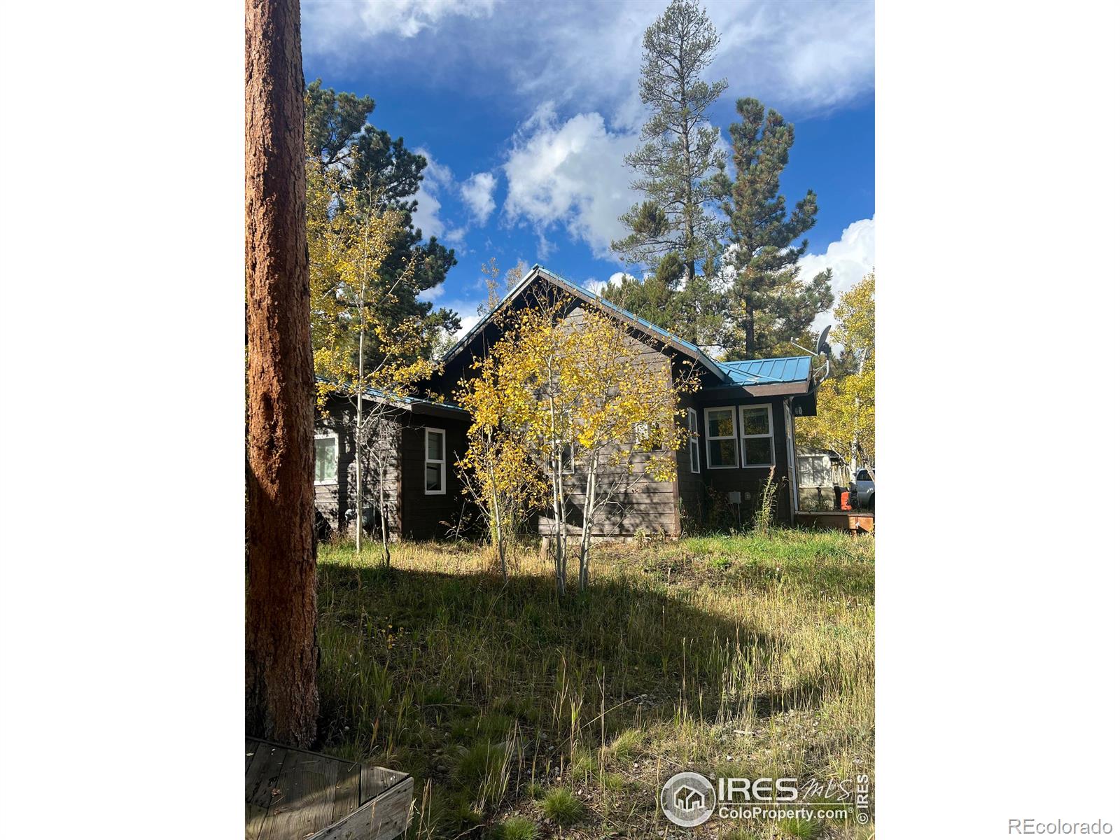 MLS Image #14 for 470 w spring street,nederland, Colorado