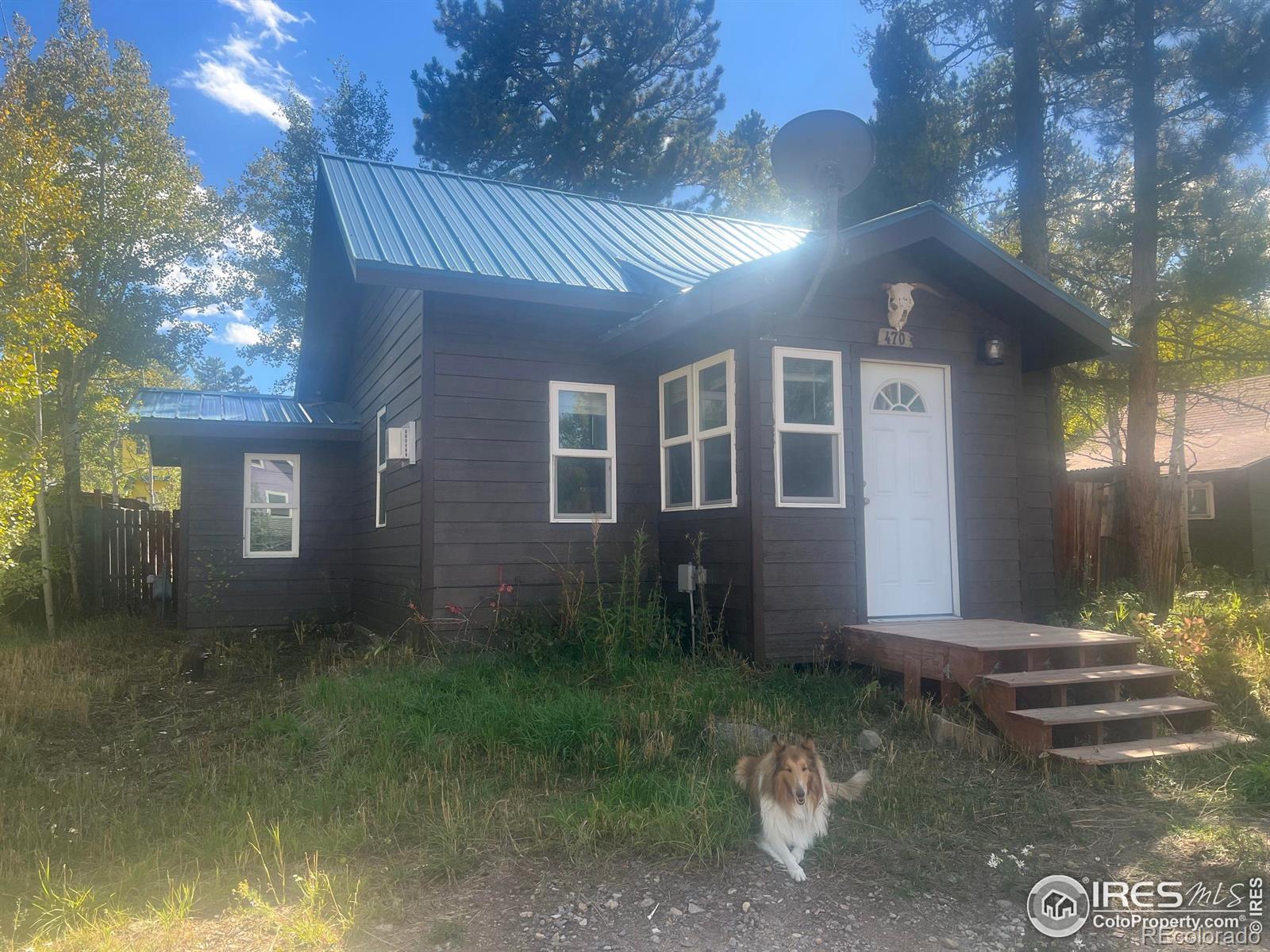 MLS Image #16 for 470 w spring street,nederland, Colorado