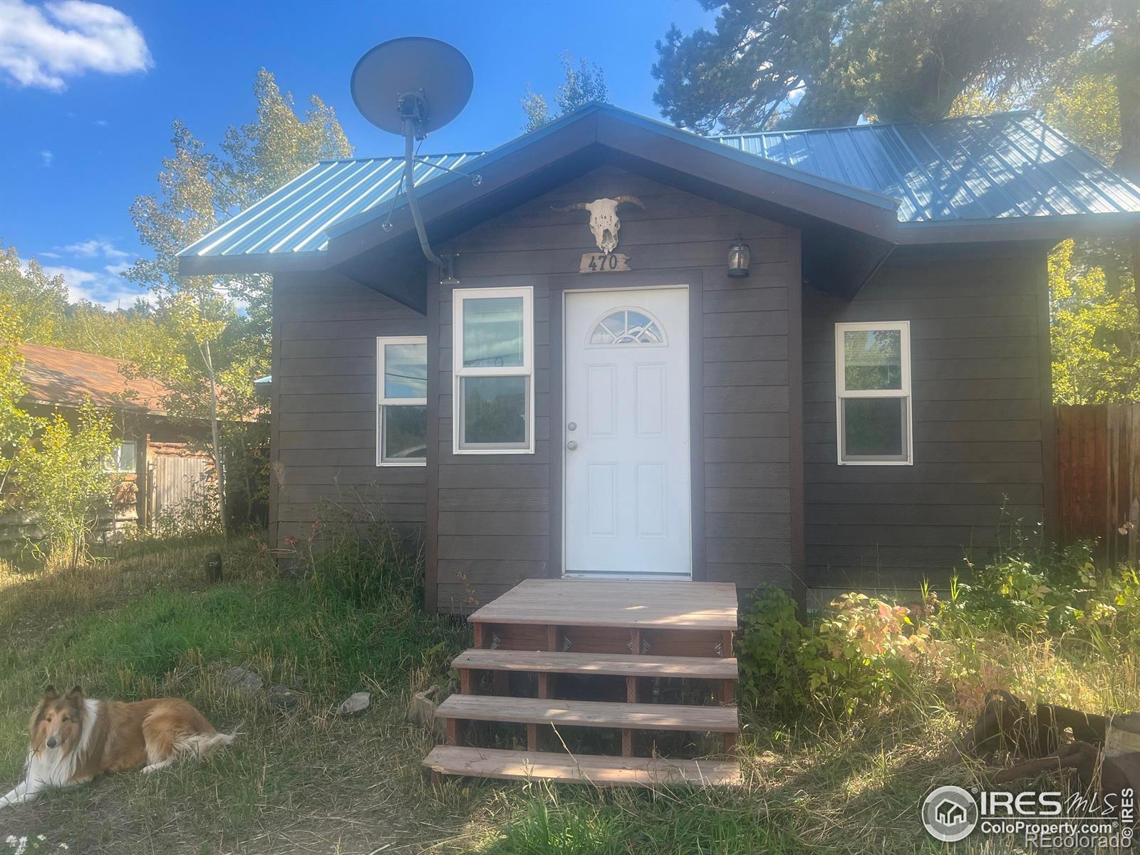 MLS Image #17 for 470 w spring street,nederland, Colorado