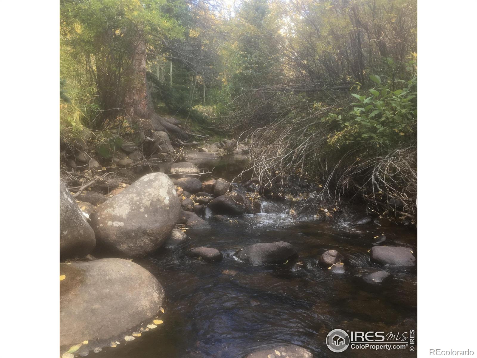 MLS Image #18 for 470 w spring street,nederland, Colorado