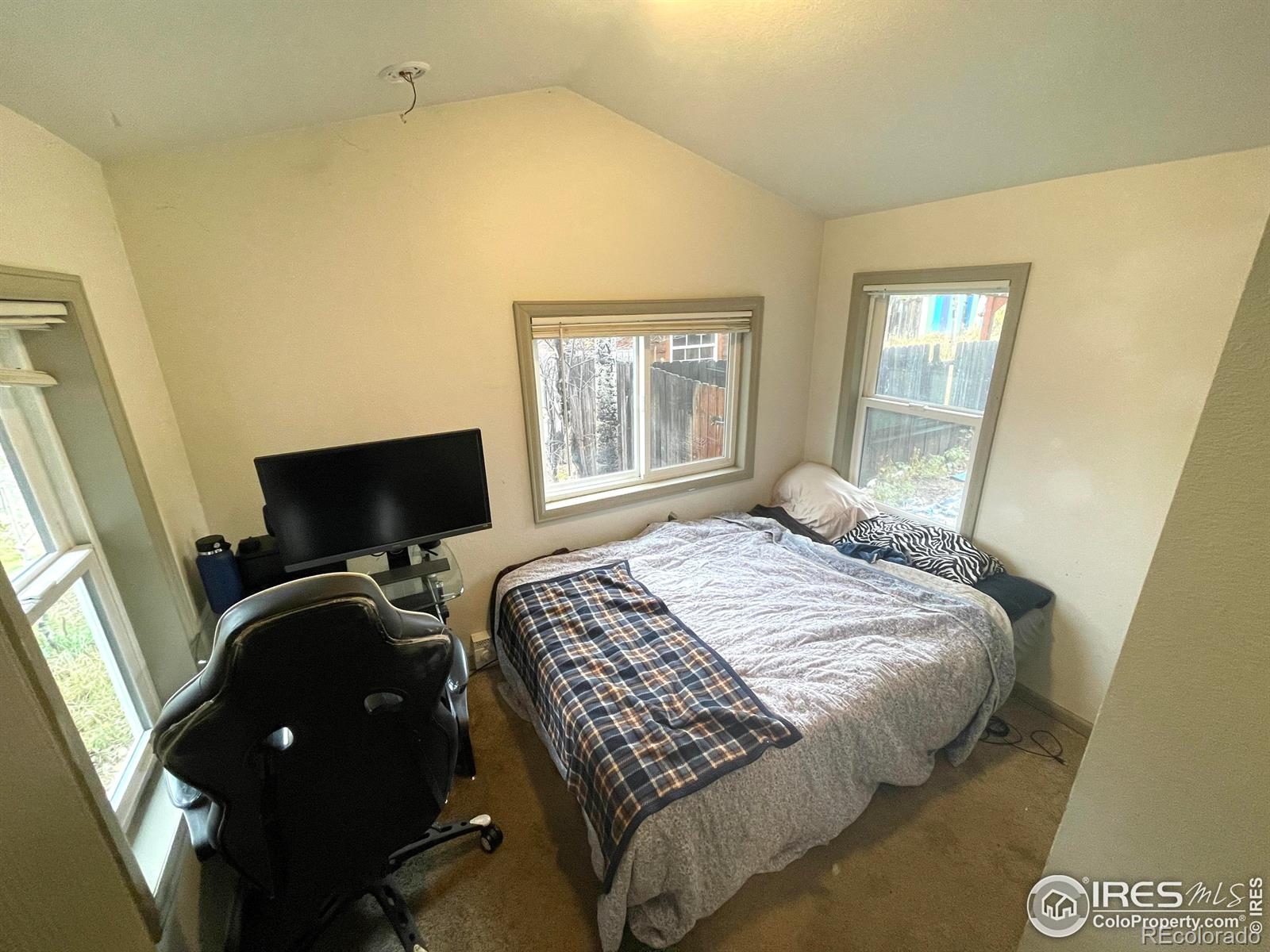 MLS Image #8 for 470 w spring street,nederland, Colorado