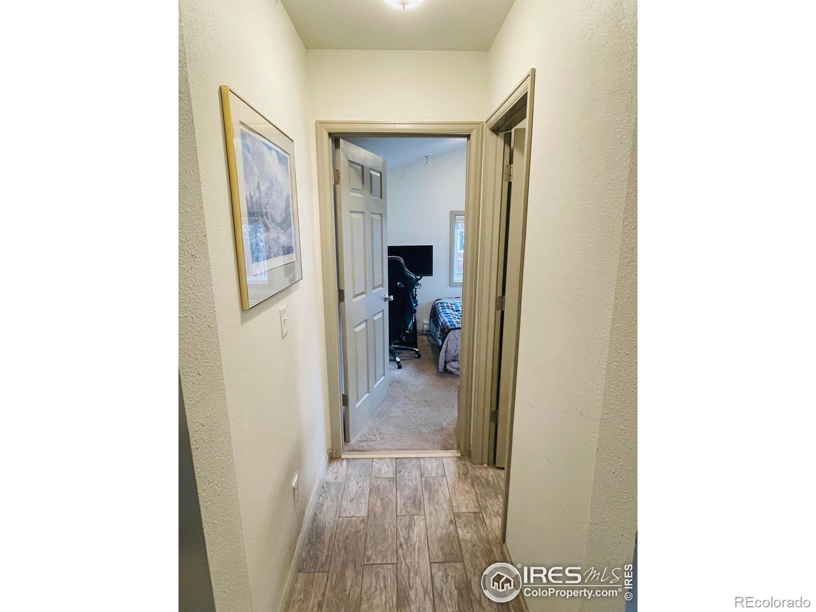 MLS Image #9 for 470 w spring street,nederland, Colorado
