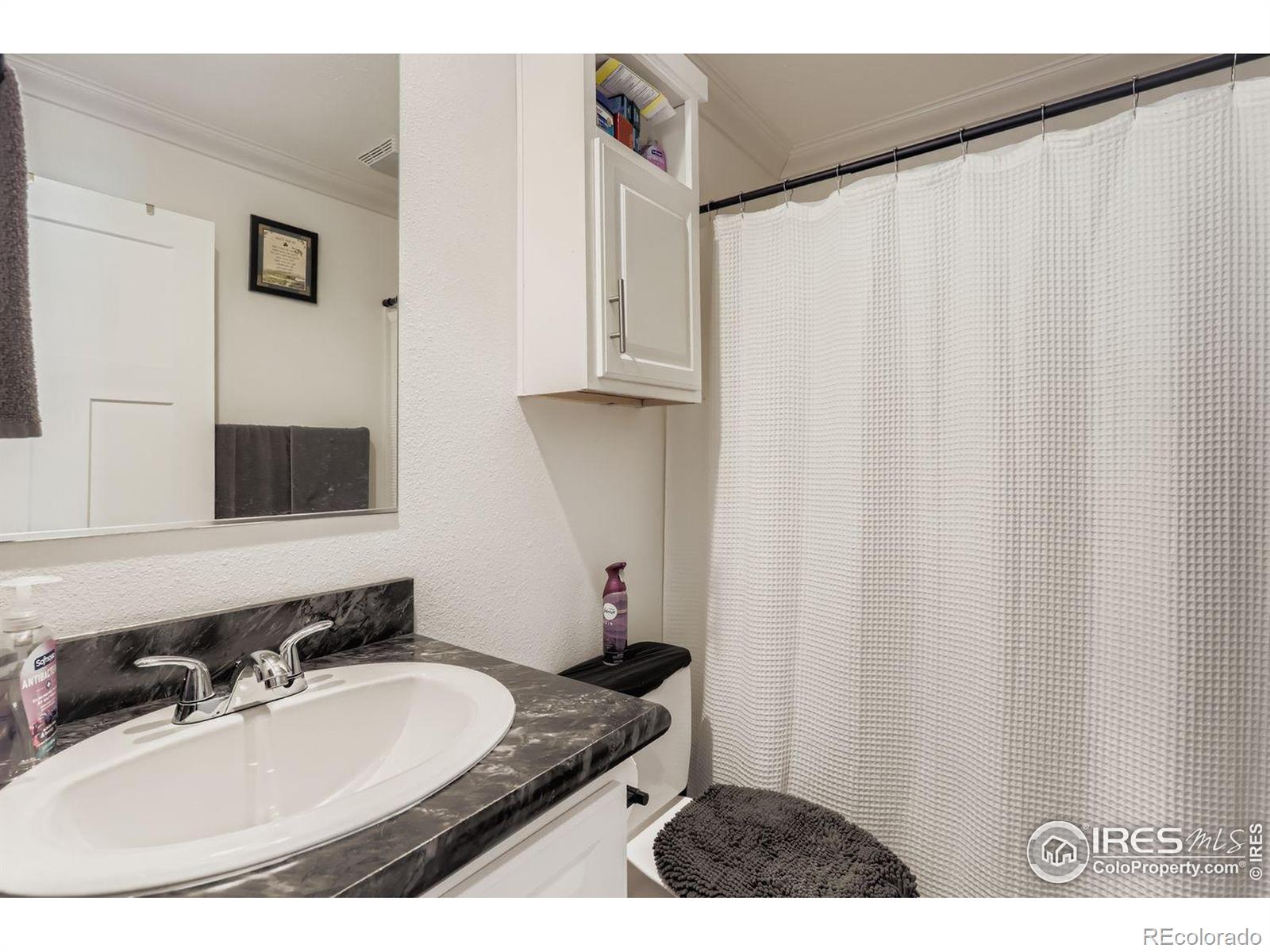 MLS Image #25 for 3109 e mulberry street,fort collins, Colorado