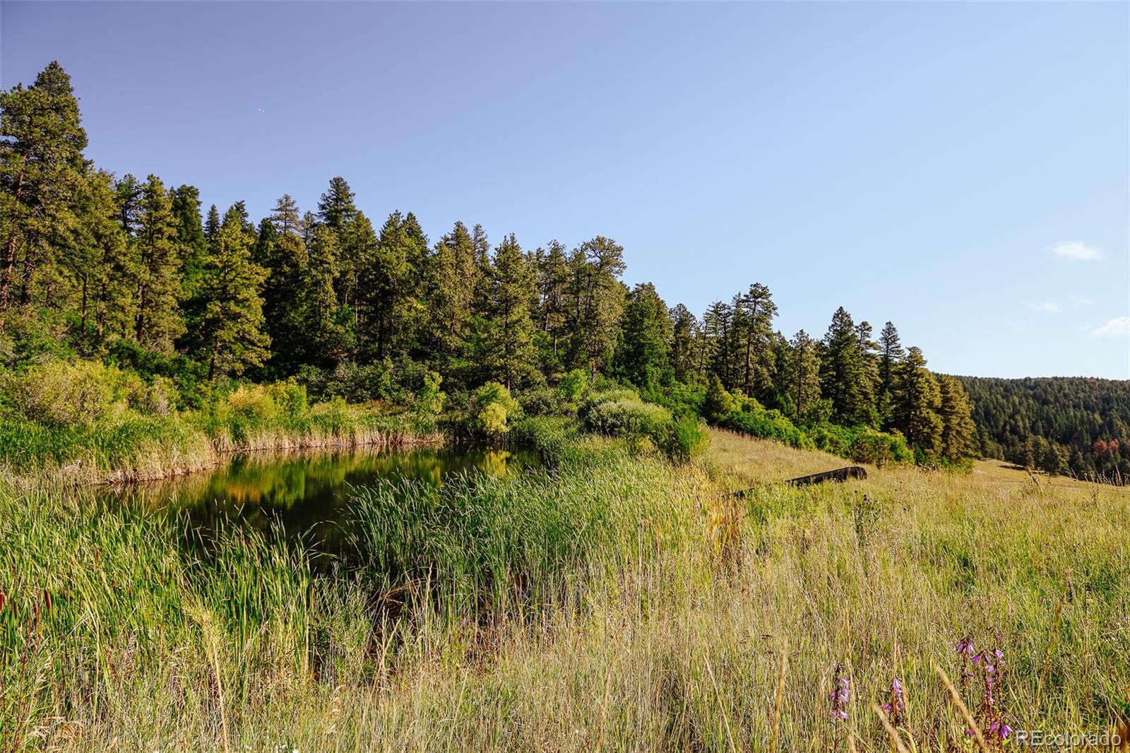 MLS Image #7 for 375 n county highway 67 ,sedalia, Colorado