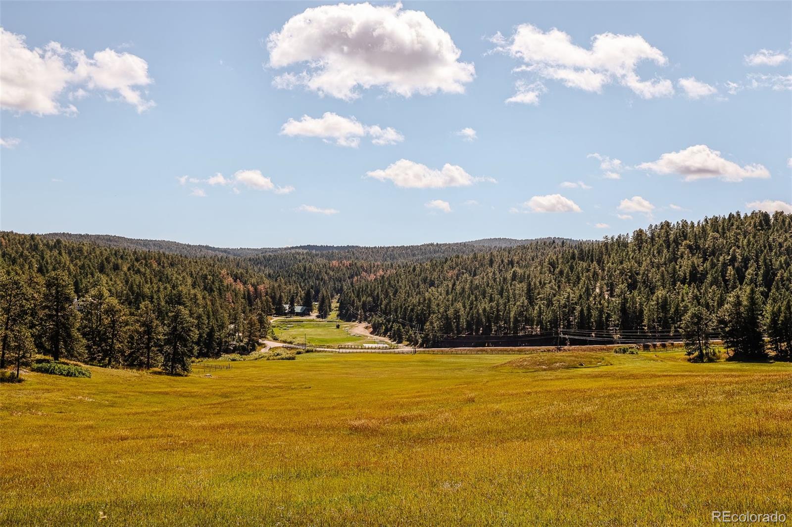 MLS Image #9 for 375 n county highway 67 ,sedalia, Colorado