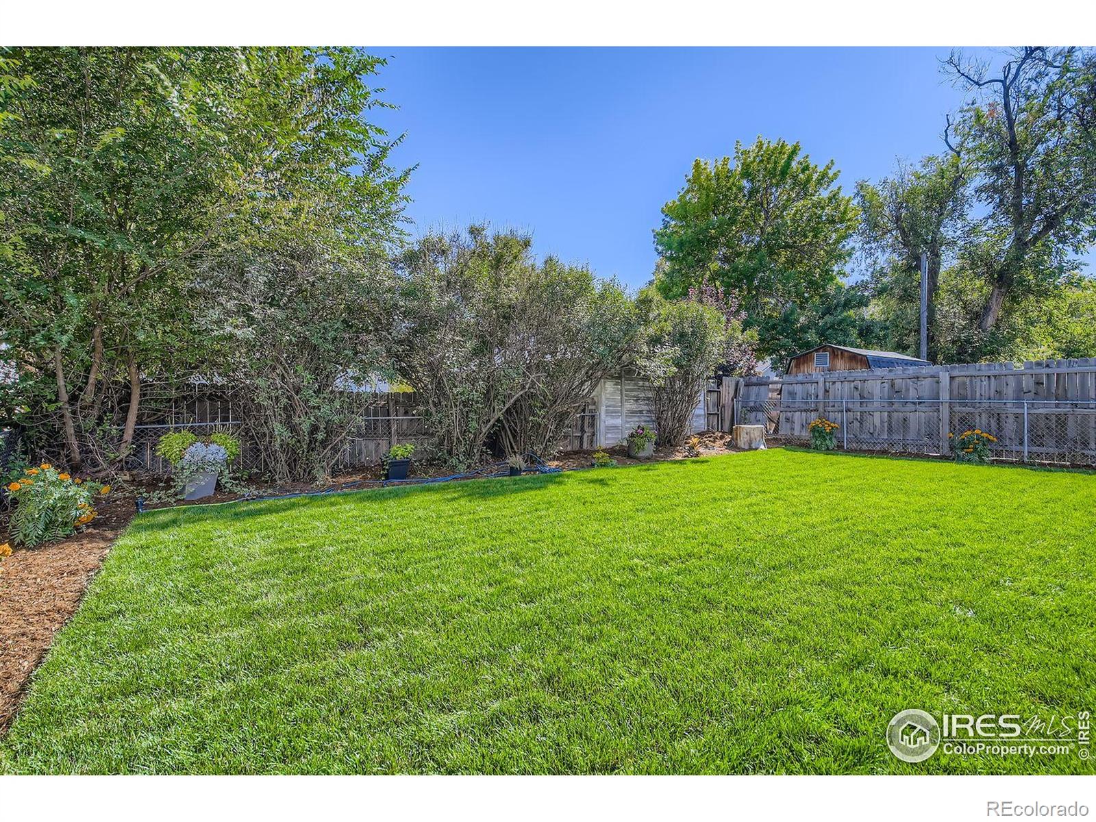 MLS Image #27 for 604  colorado street,fort collins, Colorado