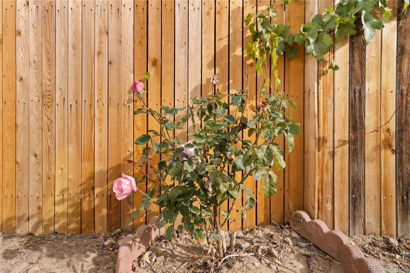 MLS Image #36 for 5124  enid way,denver, Colorado