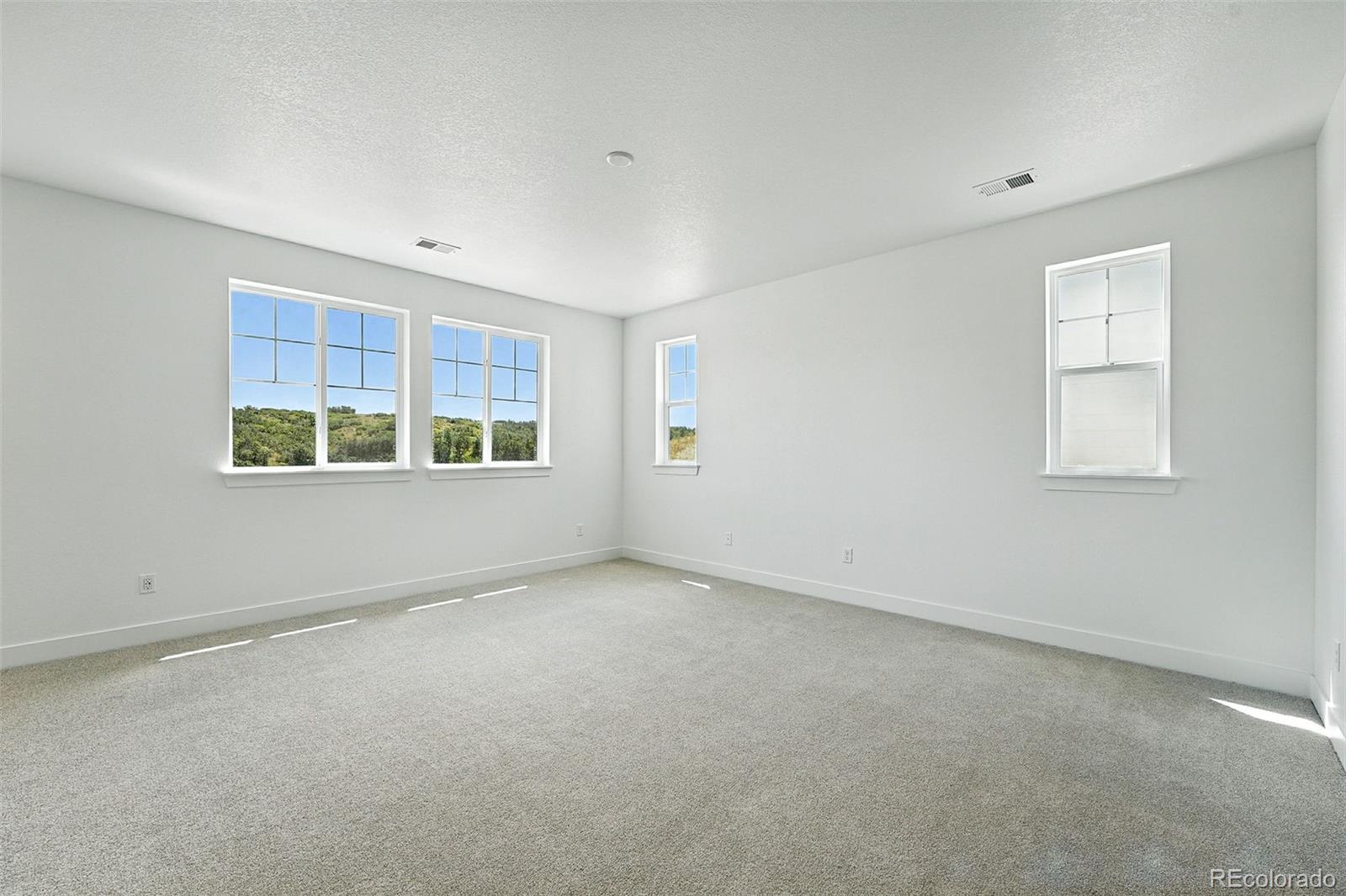 MLS Image #19 for 3418  backdrop court,castle rock, Colorado