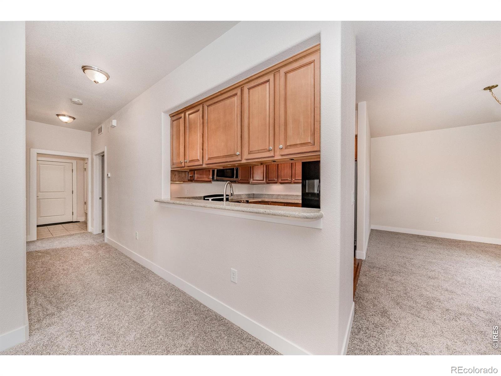 MLS Image #11 for 4751  pleasant oak drive,fort collins, Colorado