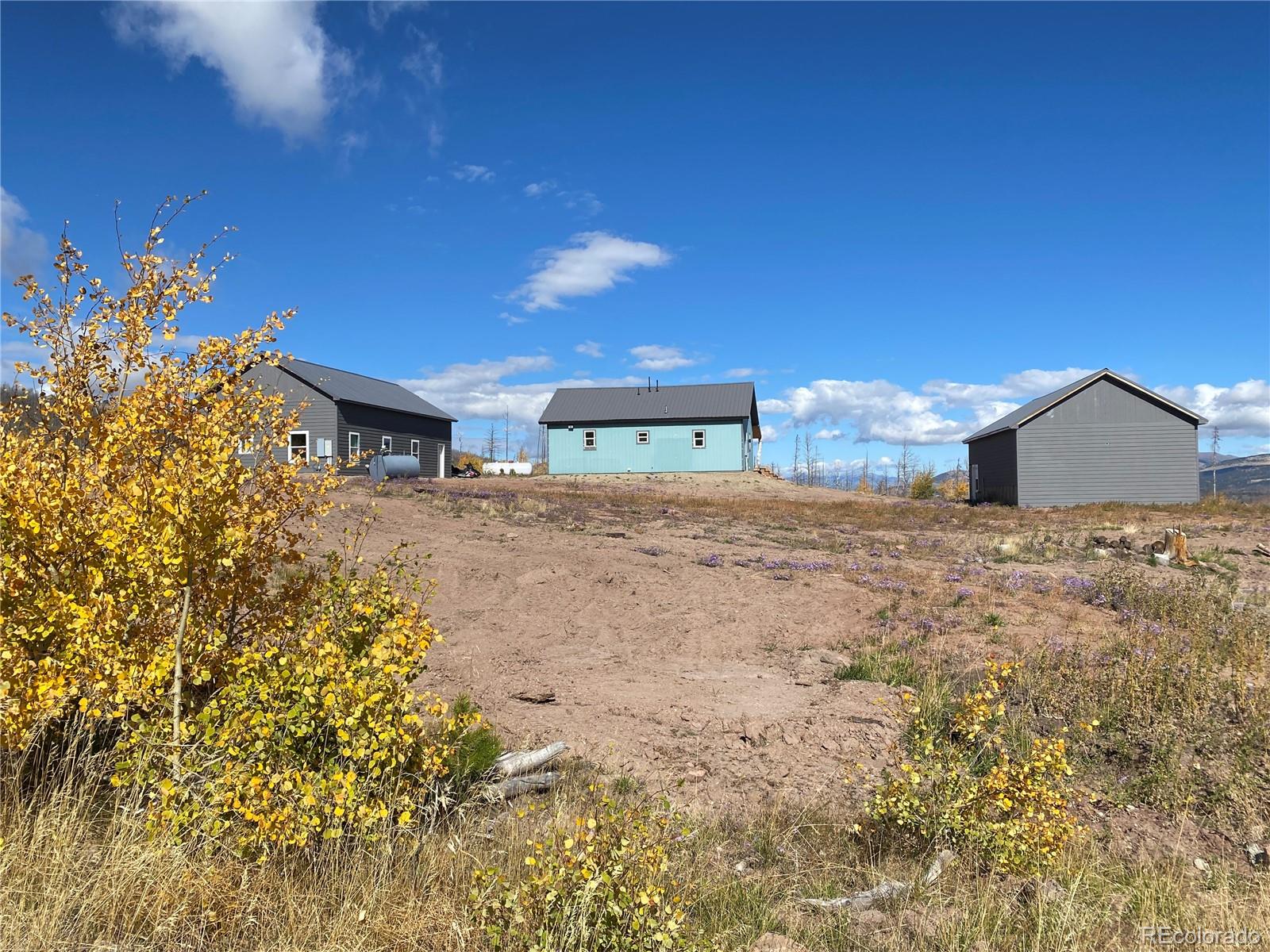 MLS Image #11 for 1944  strauss drive,fort garland, Colorado