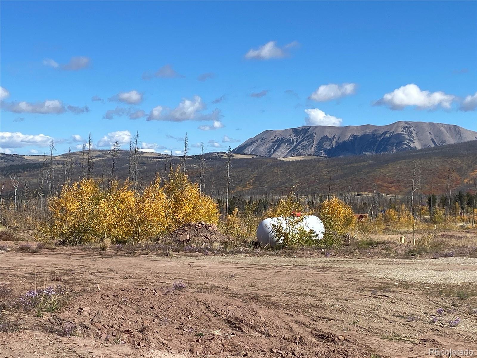 MLS Image #12 for 1944  strauss drive,fort garland, Colorado