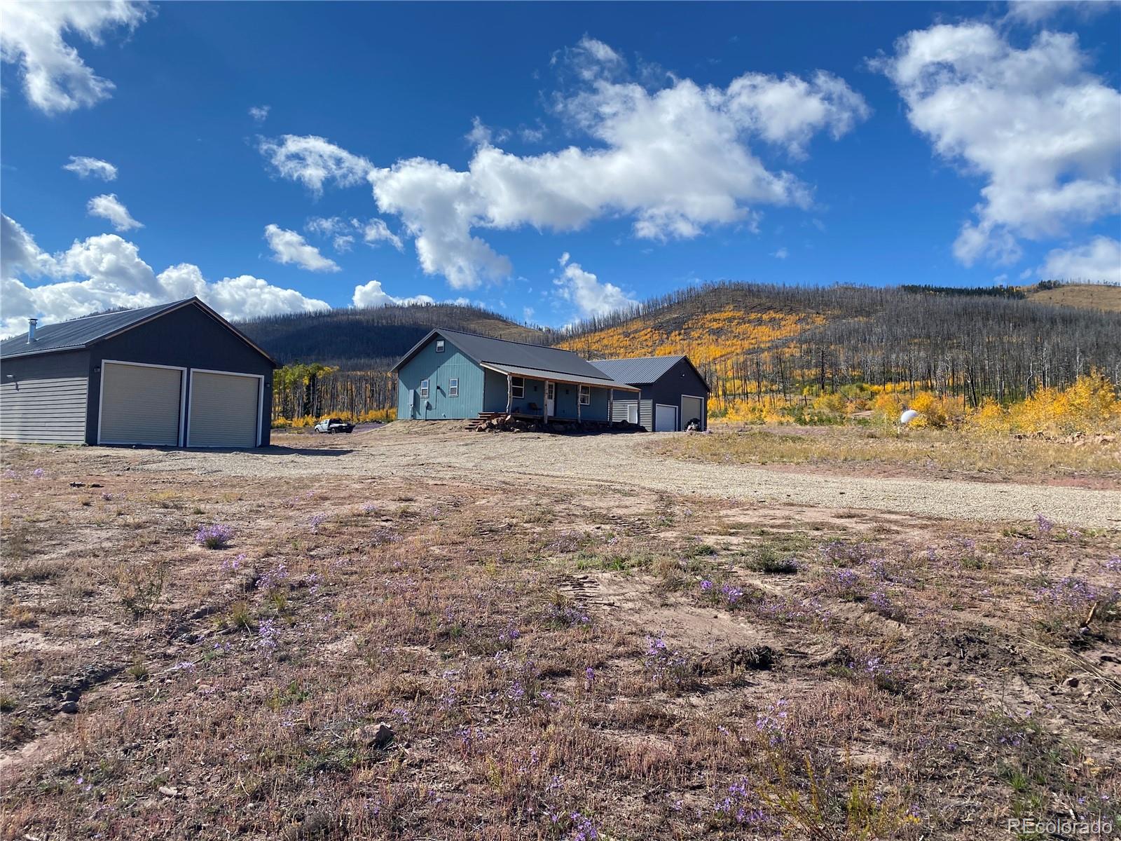 MLS Image #5 for 1944  strauss drive,fort garland, Colorado