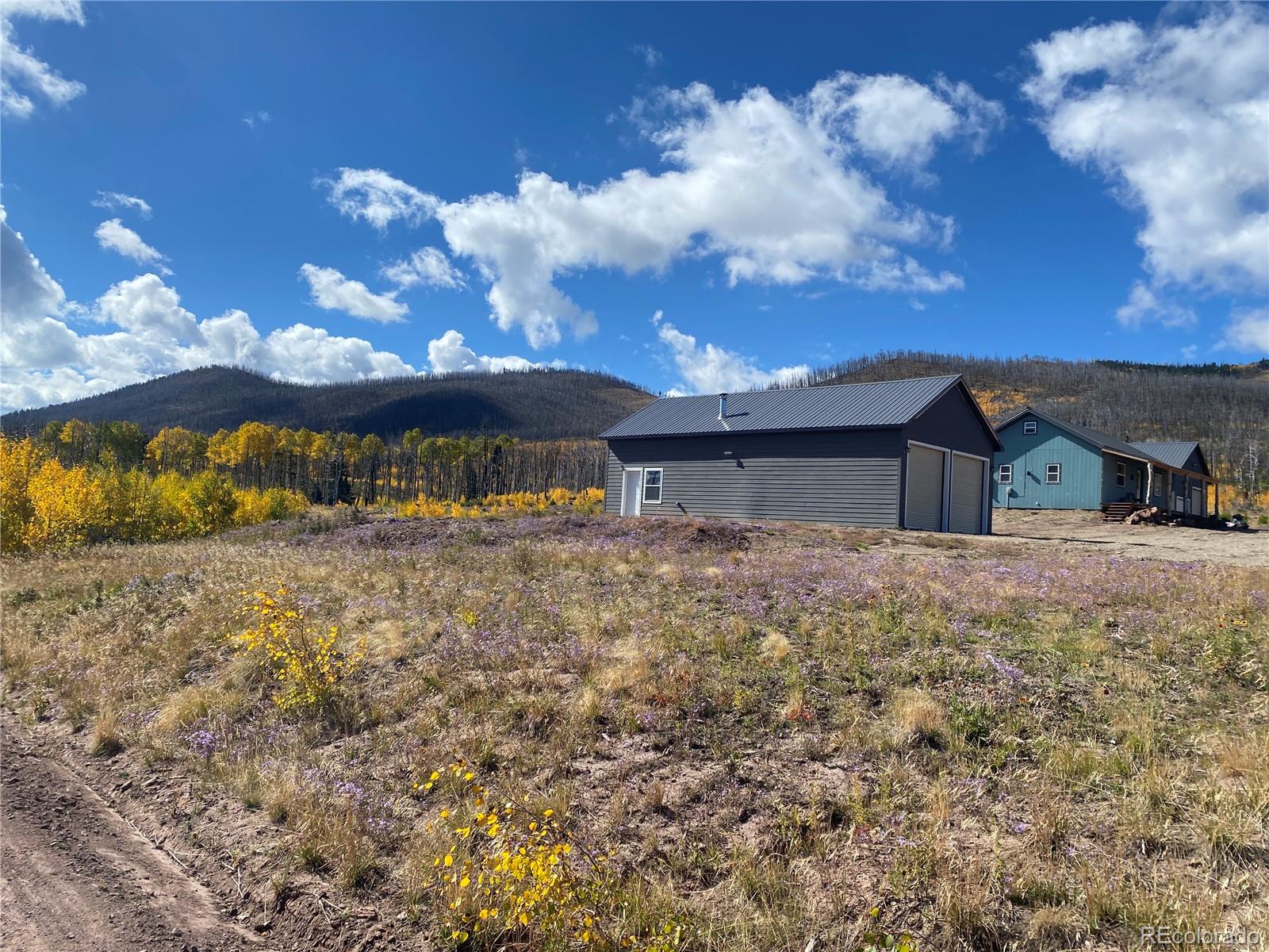 MLS Image #6 for 1944  strauss drive,fort garland, Colorado