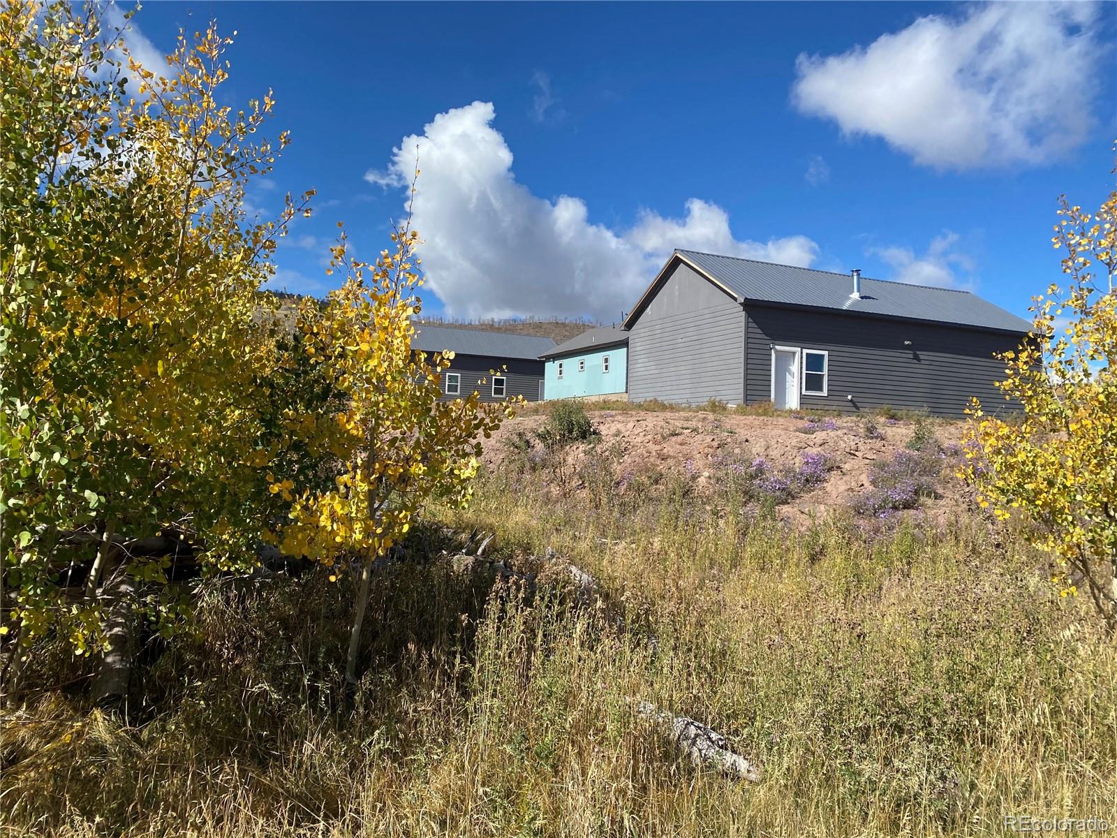 MLS Image #8 for 1944  strauss drive,fort garland, Colorado