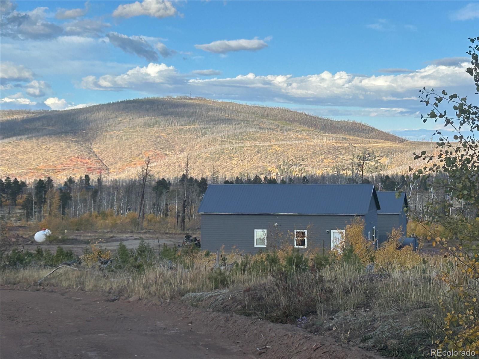 MLS Image #9 for 1944  strauss drive,fort garland, Colorado