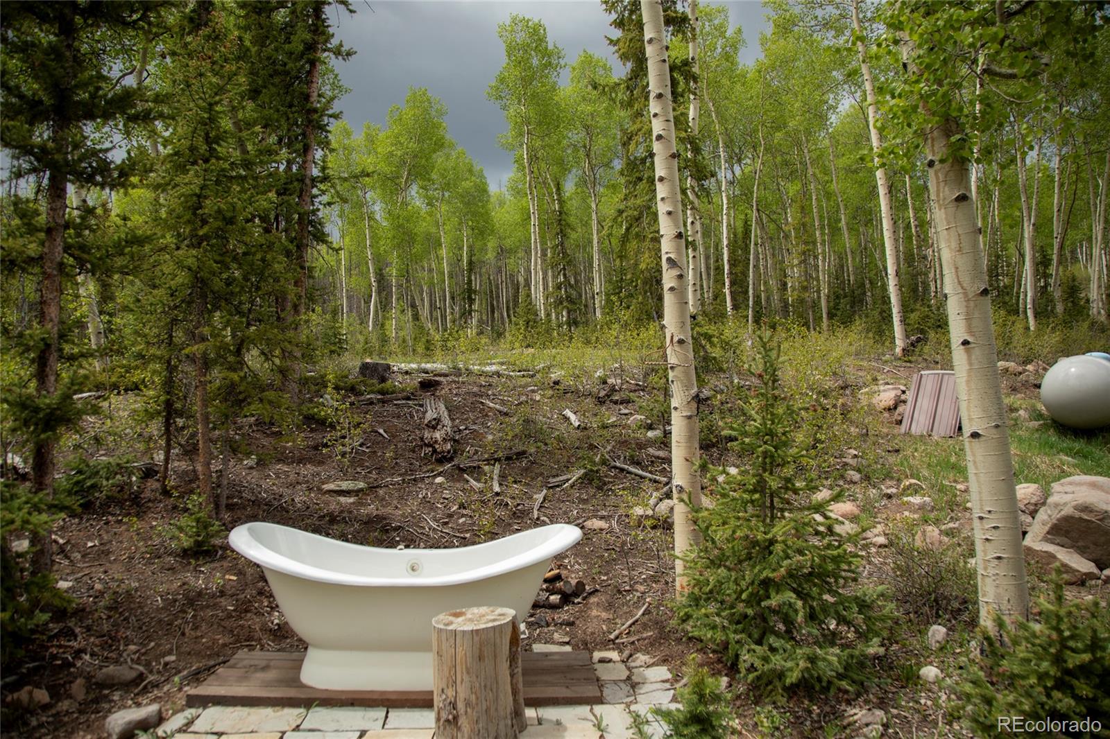 MLS Image #21 for 5565  forest rd 504 ,creede, Colorado