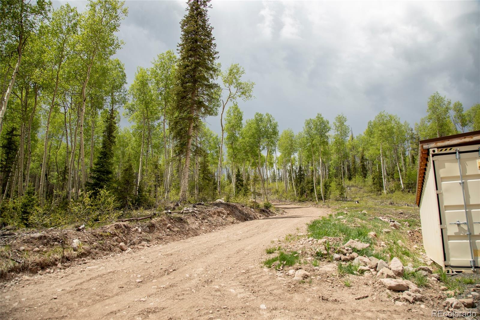 MLS Image #28 for 5565  forest rd 504 ,creede, Colorado