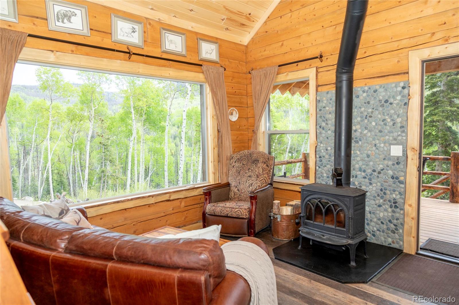 MLS Image #3 for 5565  forest rd 504 ,creede, Colorado