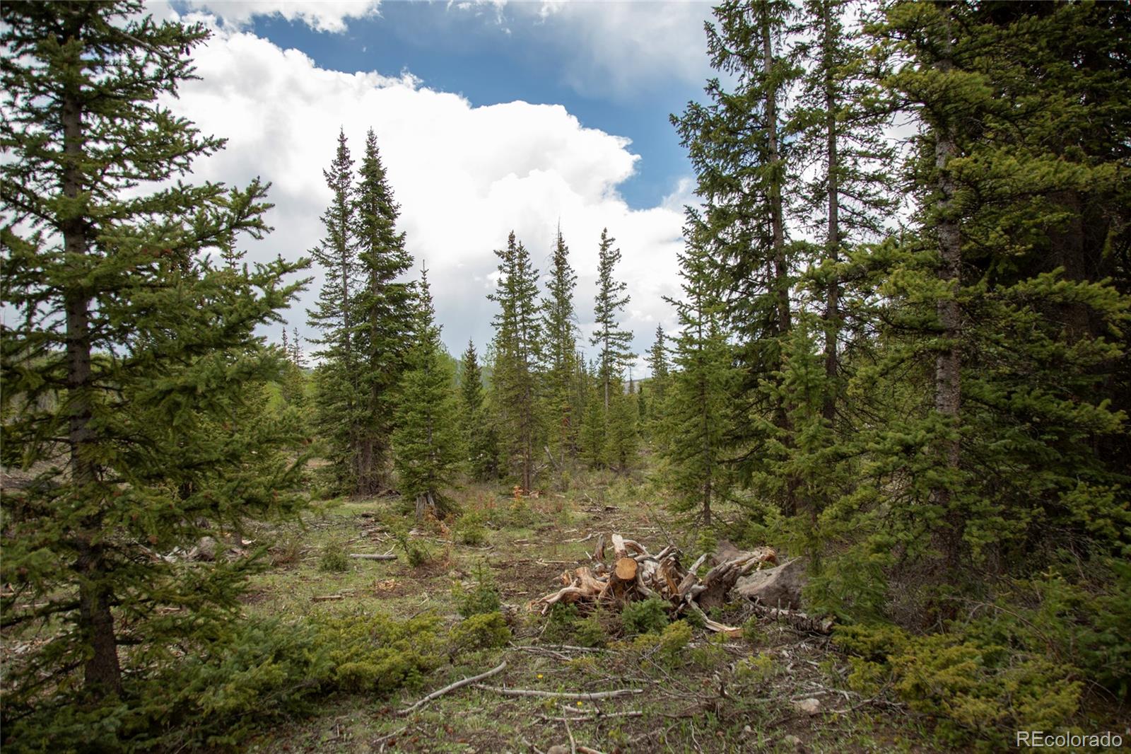 MLS Image #30 for 5565  forest rd 504 ,creede, Colorado