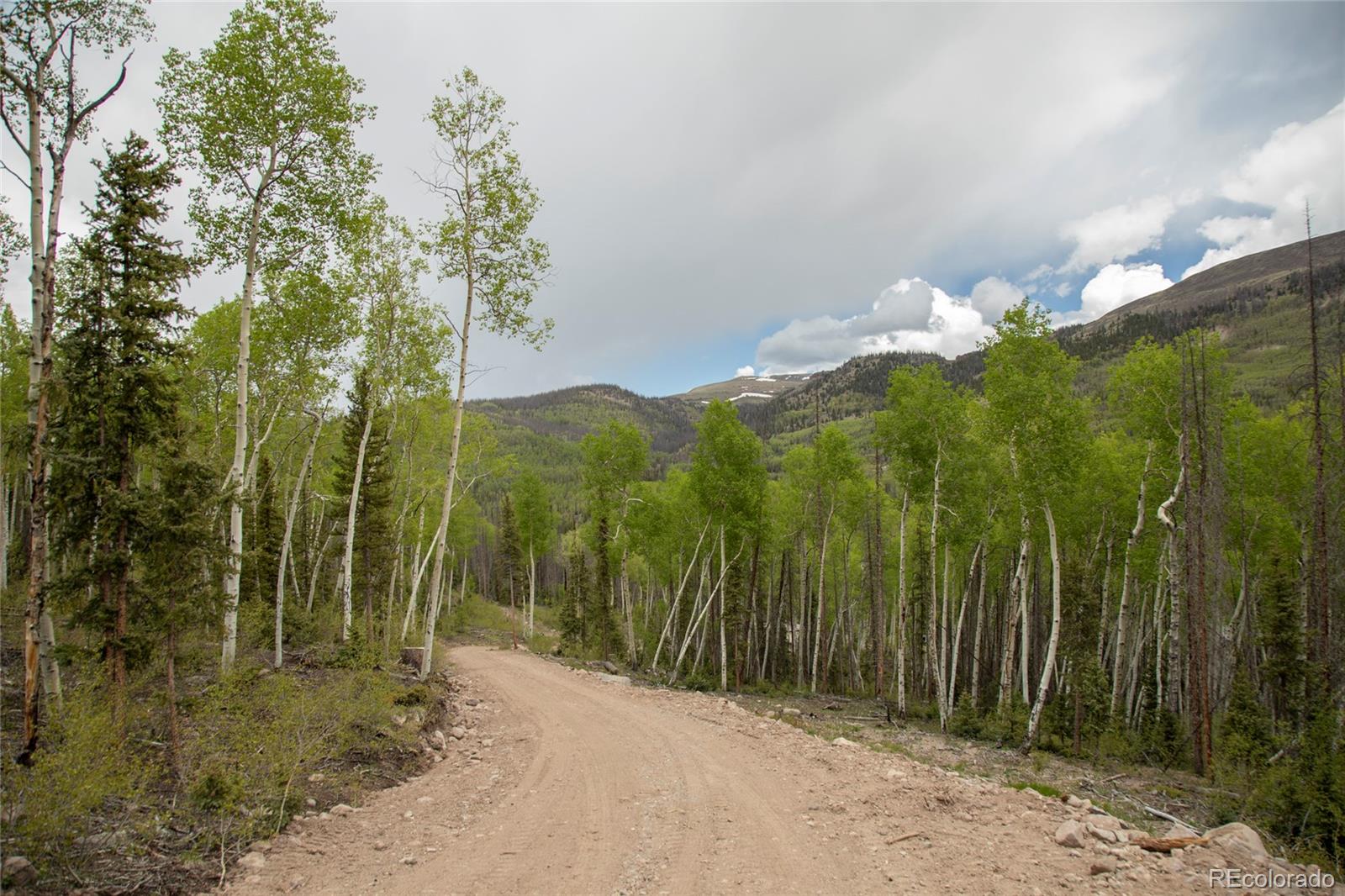 MLS Image #31 for 5565  forest rd 504 ,creede, Colorado