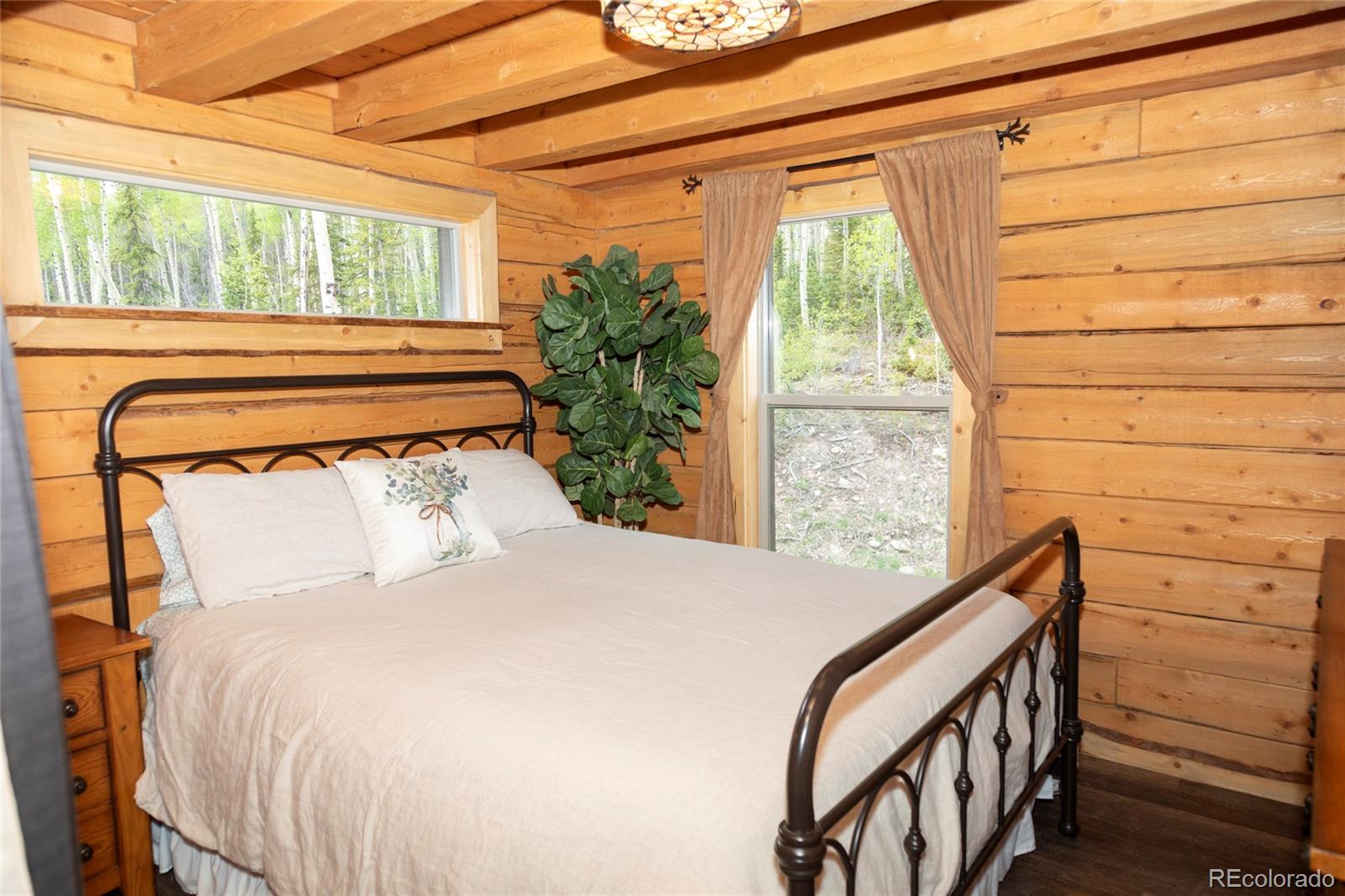 MLS Image #6 for 5565  forest rd 504 ,creede, Colorado