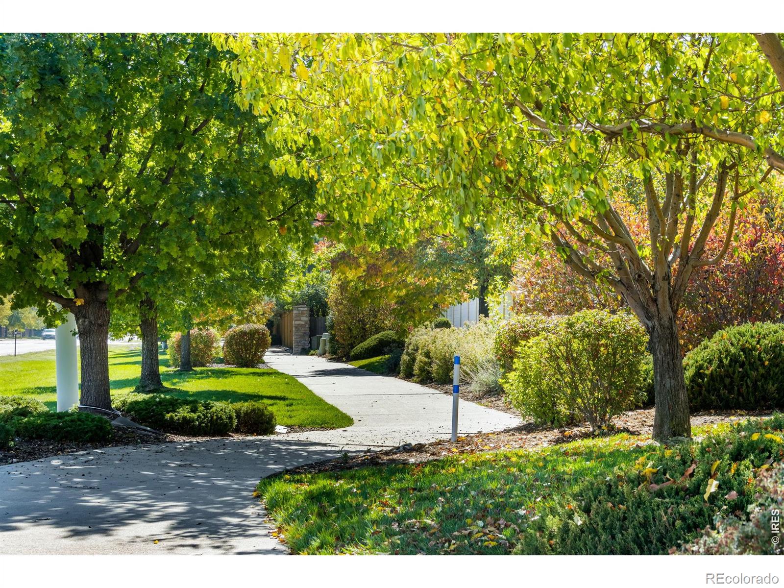 MLS Image #22 for 2410  santa fe drive,longmont, Colorado