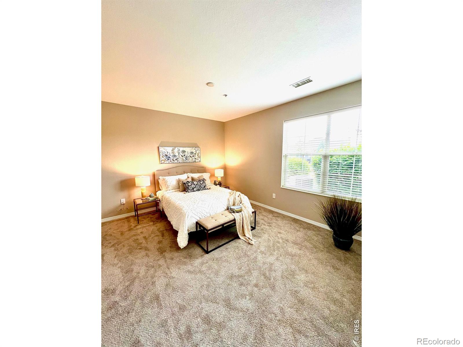 MLS Image #5 for 2410  santa fe drive,longmont, Colorado