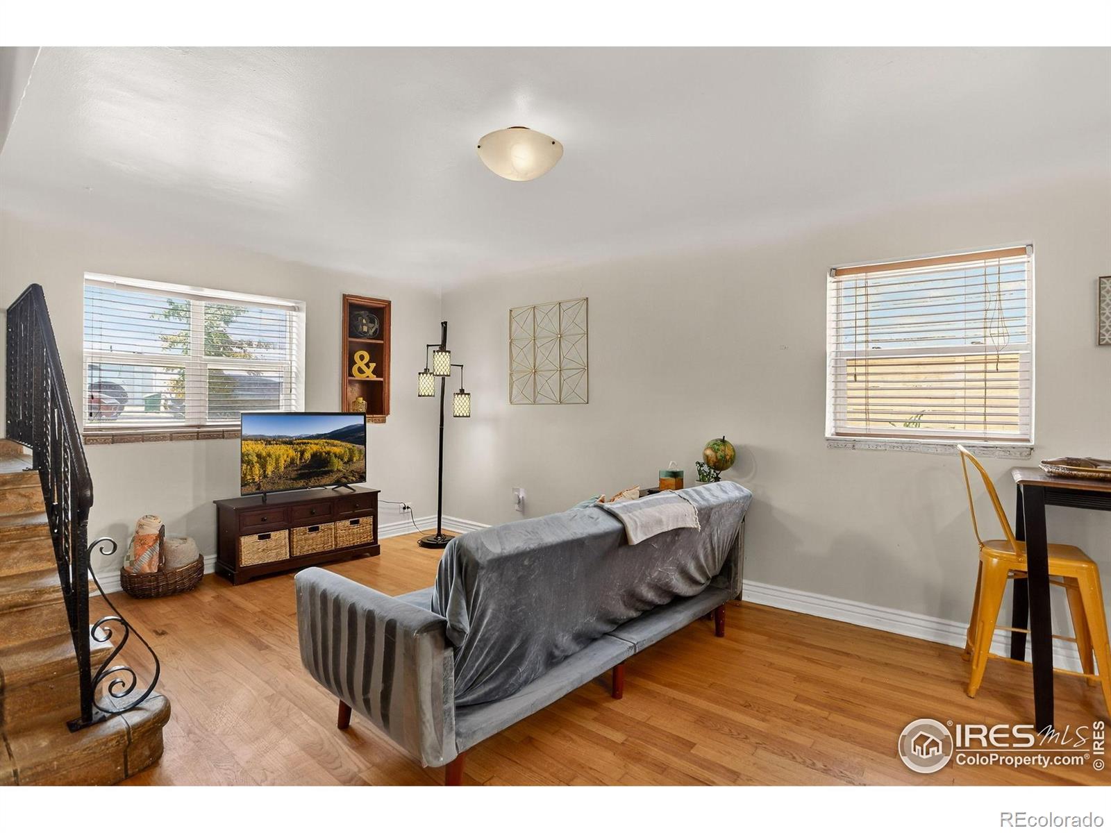 MLS Image #18 for 1476  dahlia street,denver, Colorado