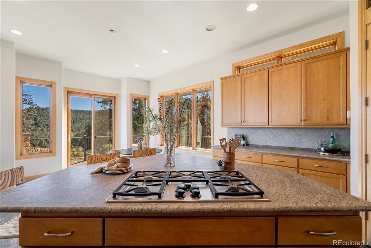 MLS Image #29 for 20682  falcon wing road,indian hills, Colorado
