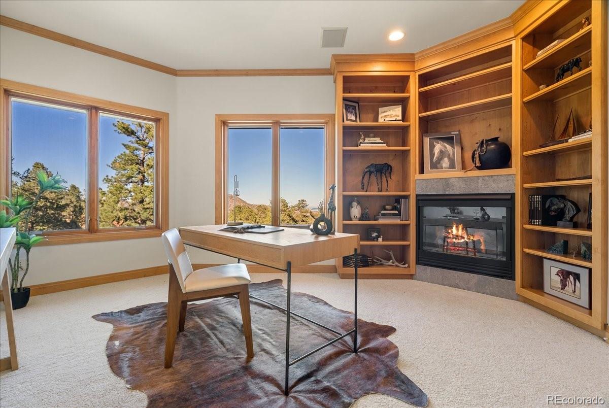 MLS Image #36 for 20682  falcon wing road,indian hills, Colorado