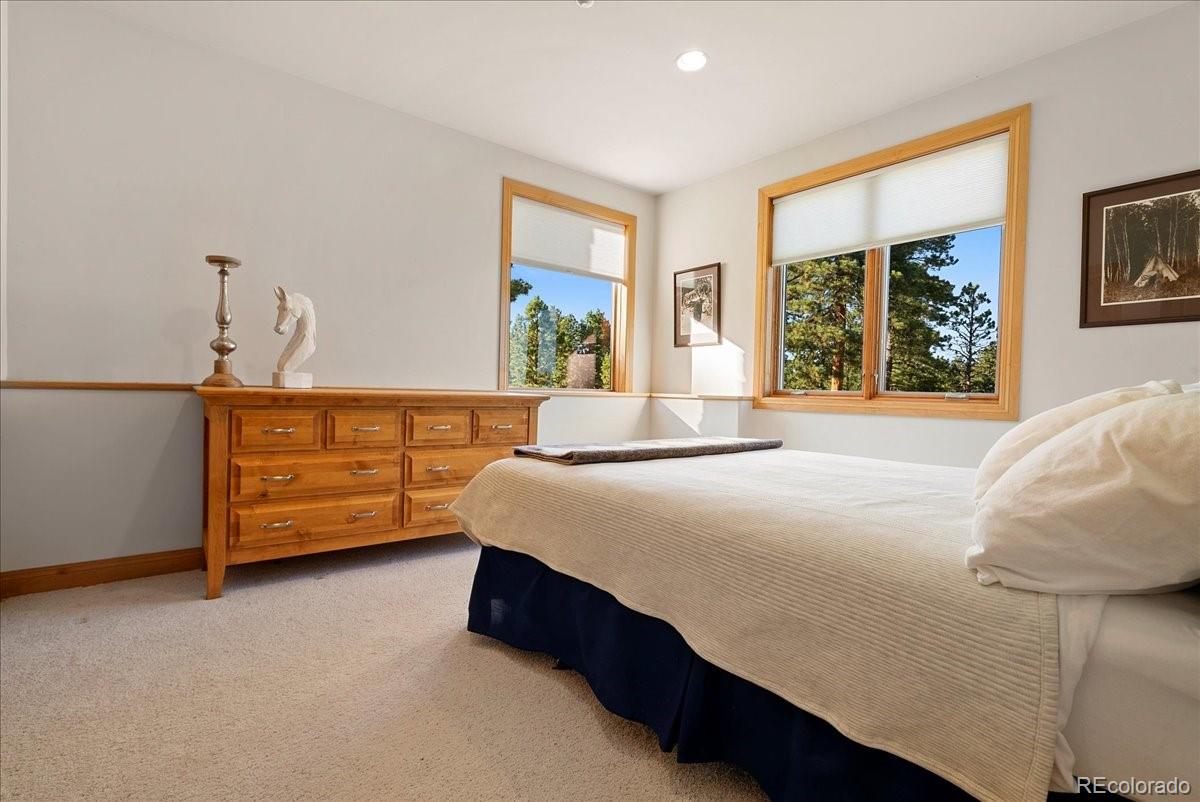MLS Image #43 for 20682  falcon wing road,indian hills, Colorado