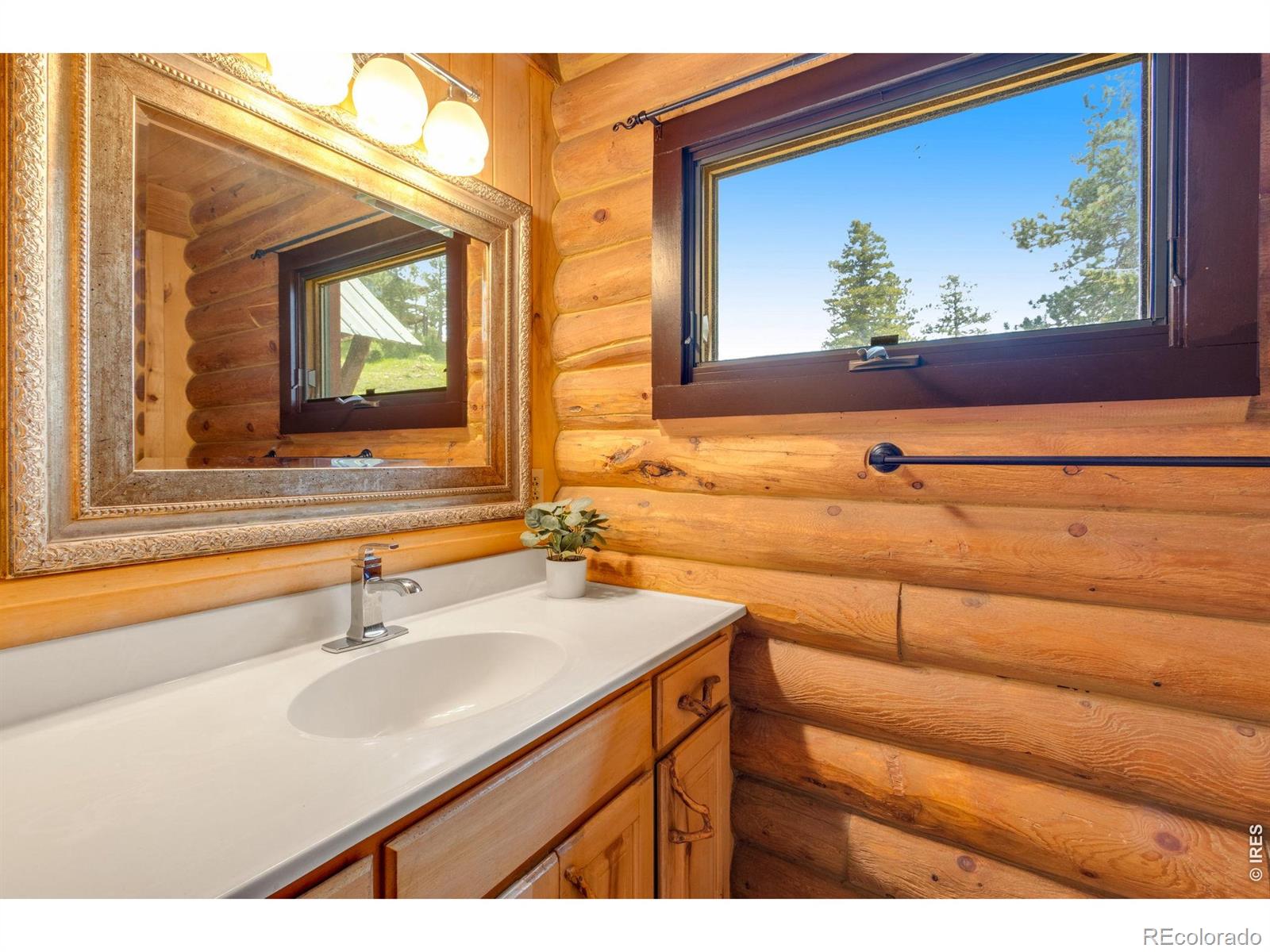MLS Image #36 for 679  mount massive drive,livermore, Colorado