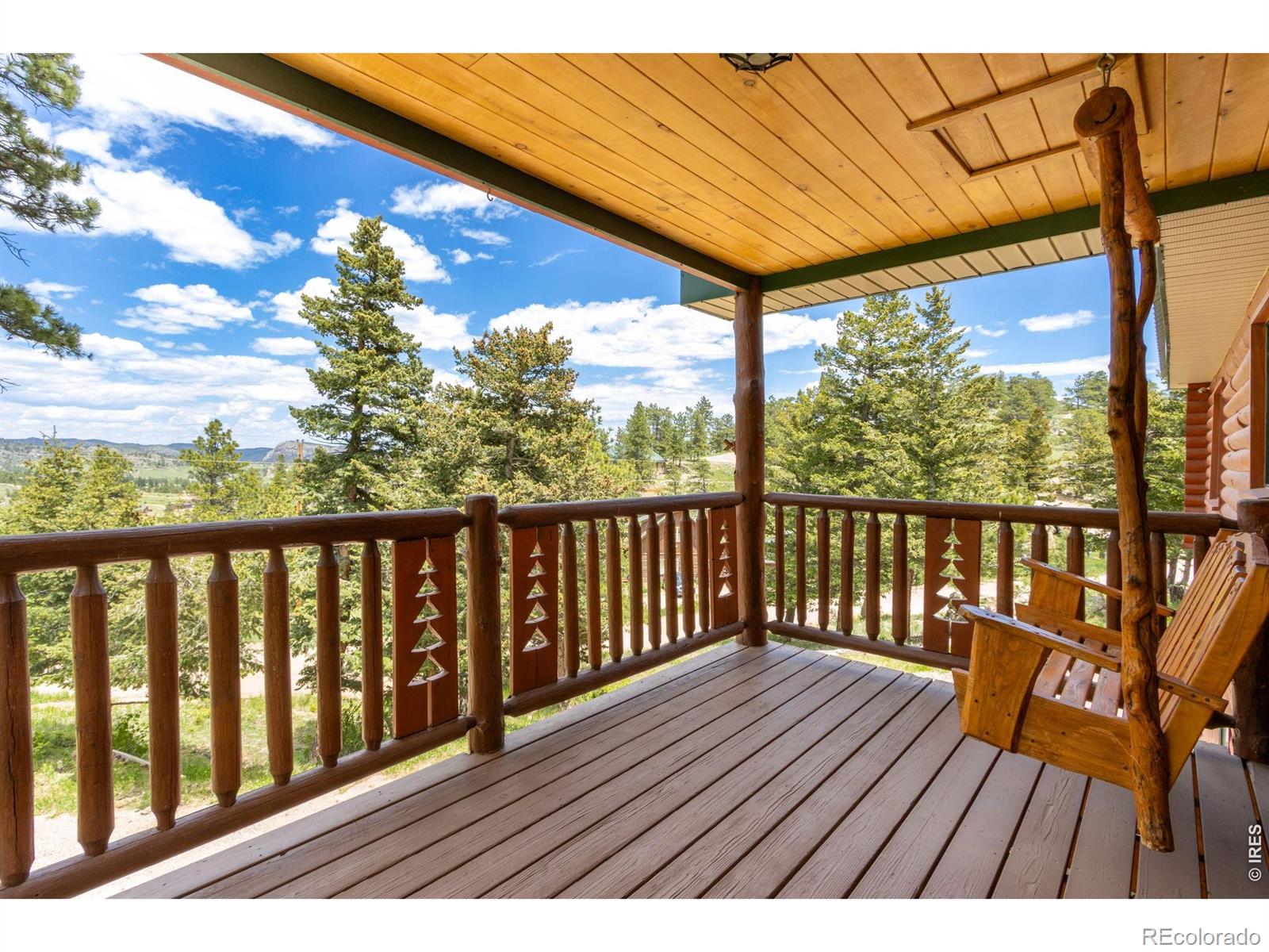 MLS Image #5 for 679  mount massive drive,livermore, Colorado
