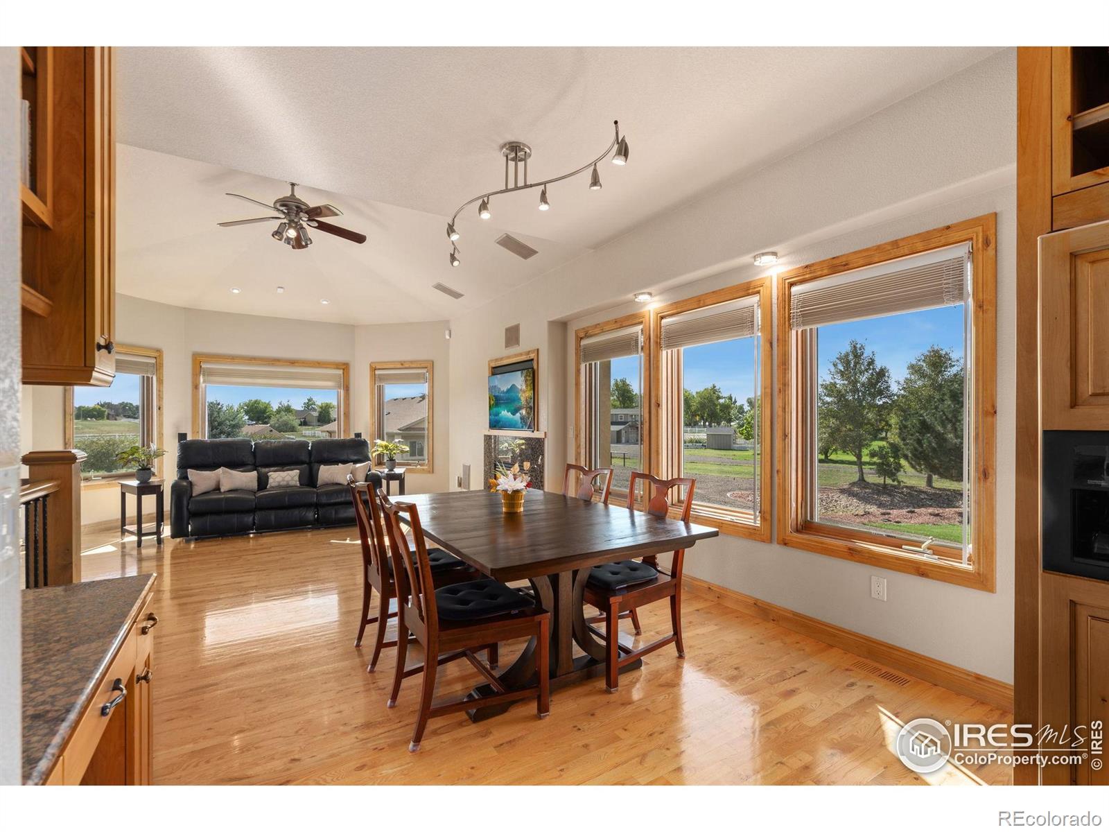 MLS Image #13 for 39230  longs peak court,severance, Colorado