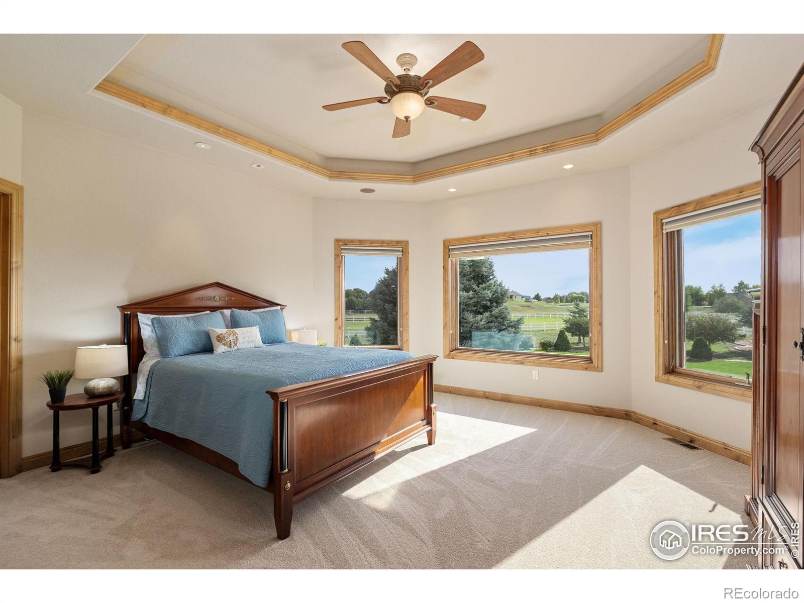 MLS Image #16 for 39230  longs peak court,severance, Colorado