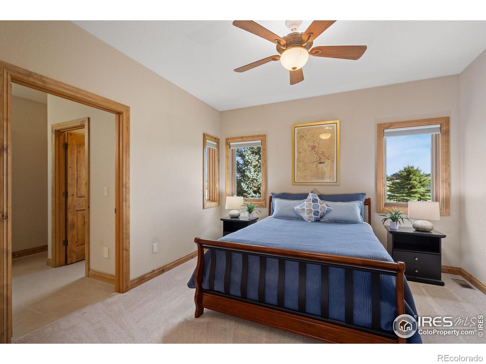 MLS Image #21 for 39230  longs peak court,severance, Colorado