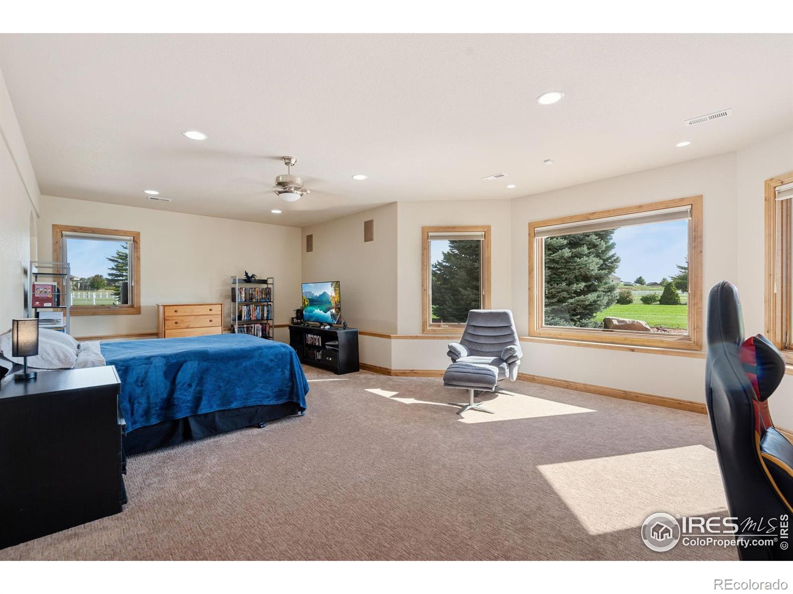 MLS Image #31 for 39230  longs peak court,severance, Colorado