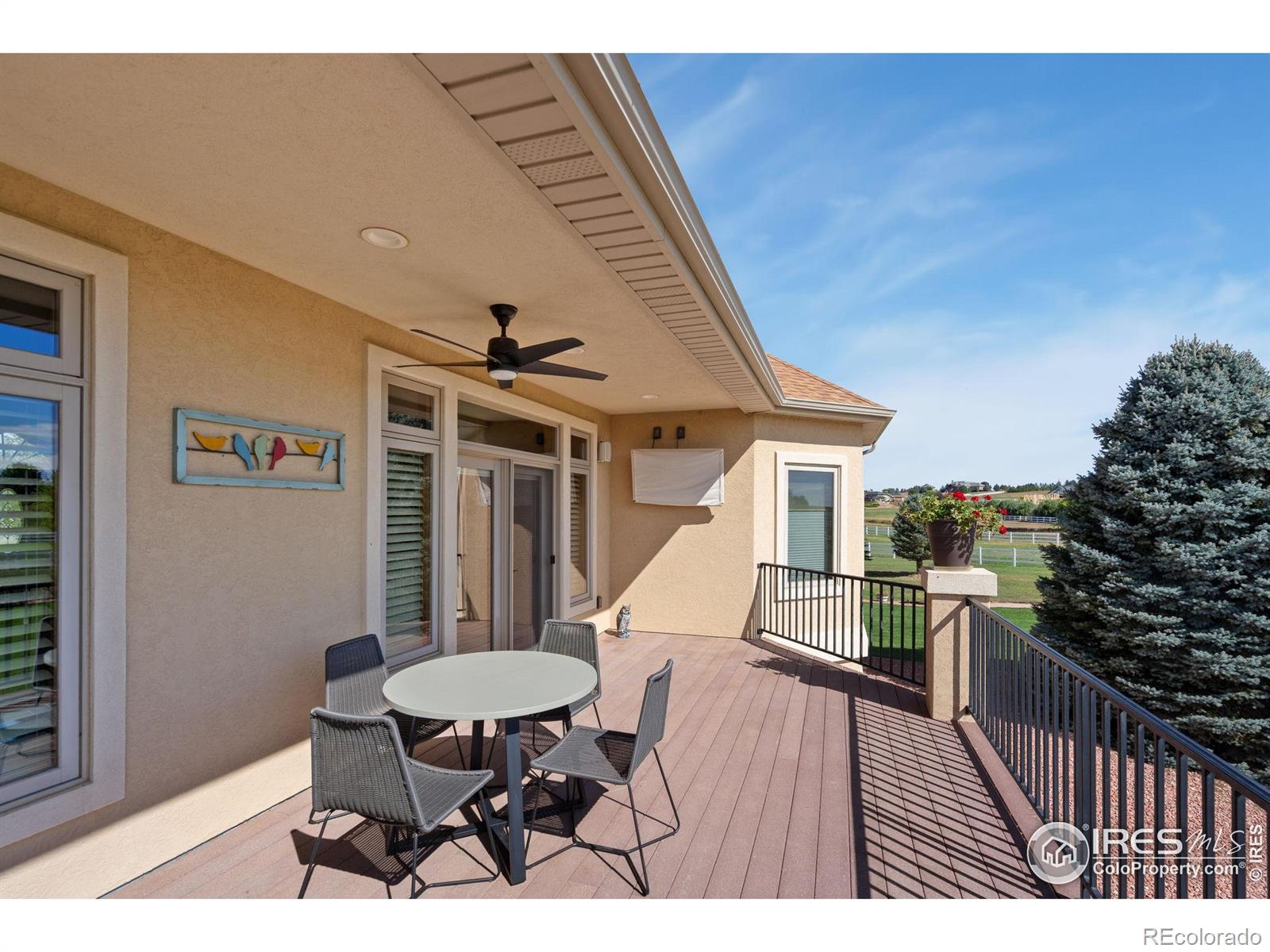 MLS Image #6 for 39230  longs peak court,severance, Colorado