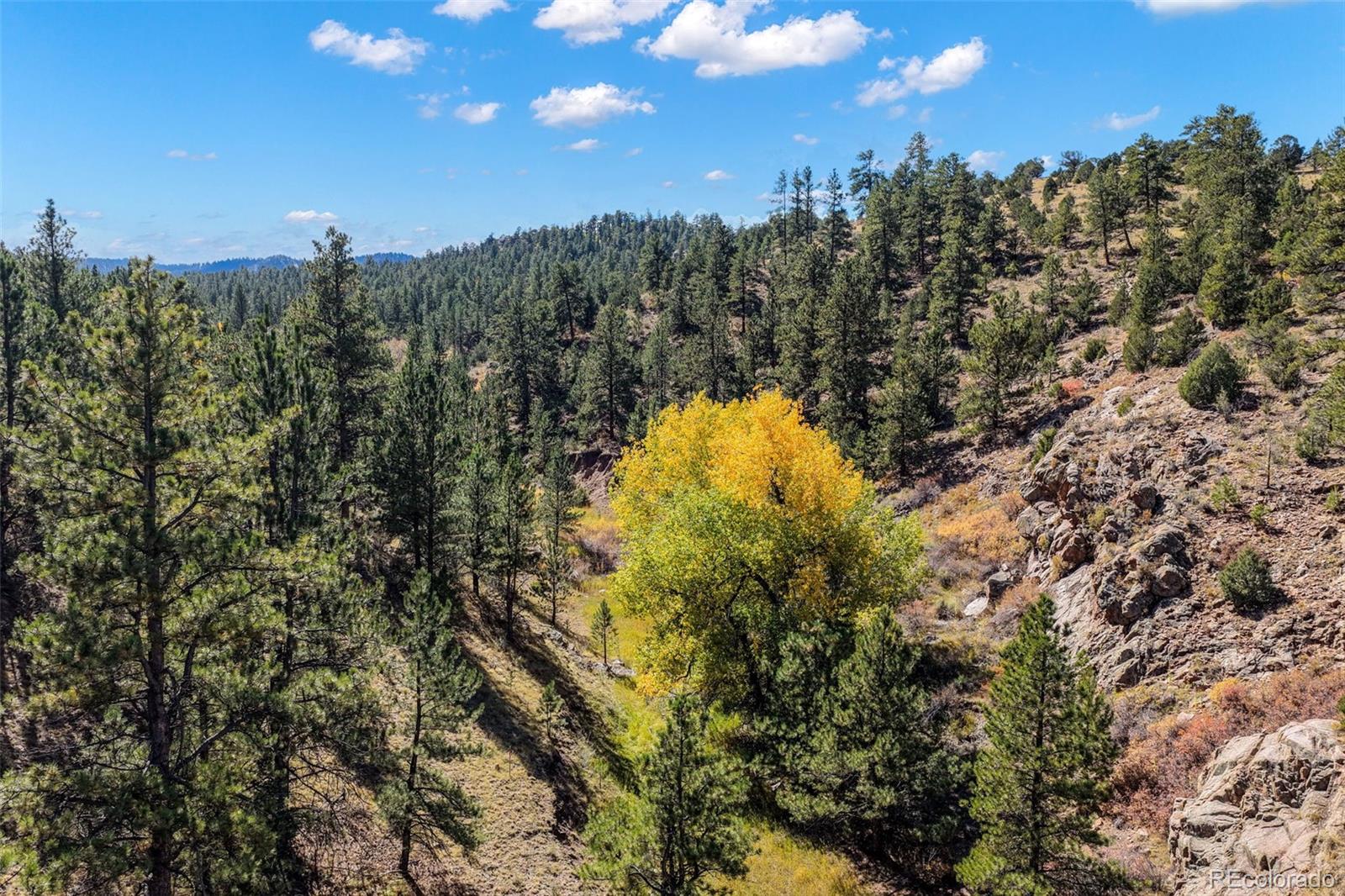 MLS Image #12 for 838  county road 260 ,westcliffe, Colorado